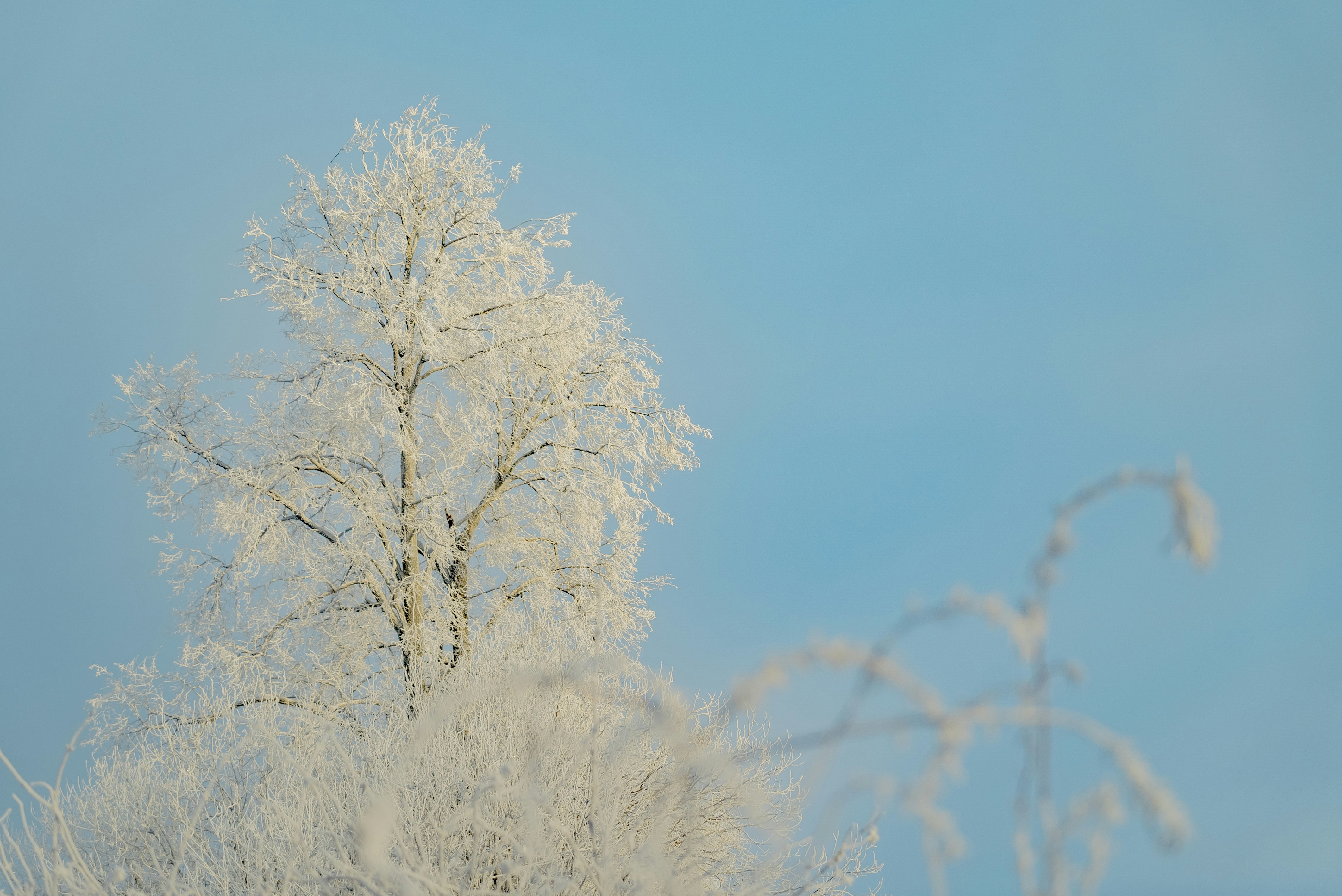 Photo by artem_skokov