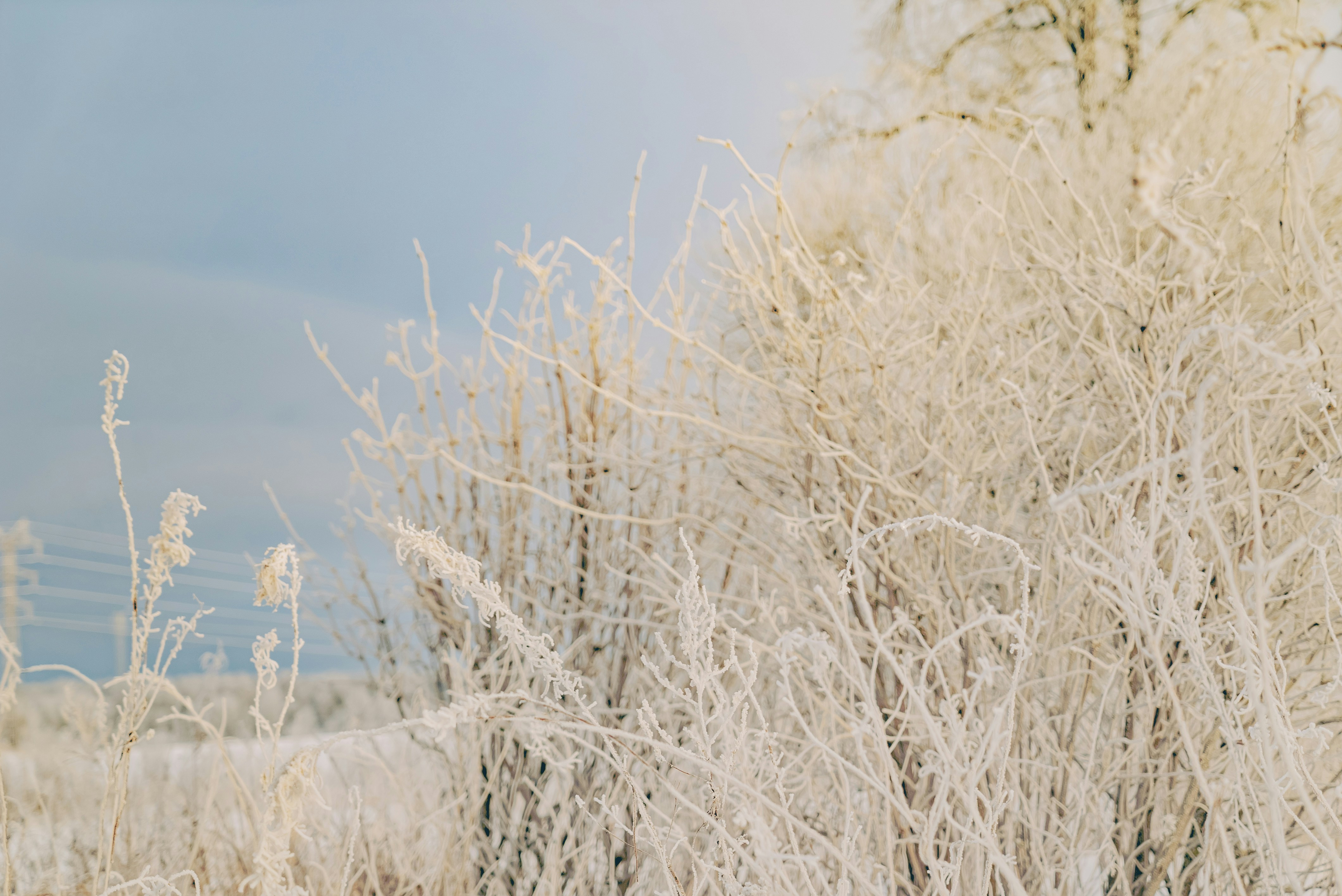 Photo by artem_skokov