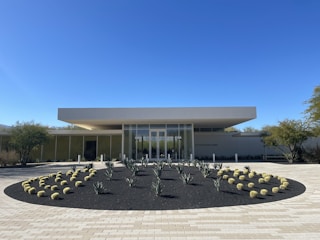 A modern commercial building entrance with minimalist landscaping and native shrubs