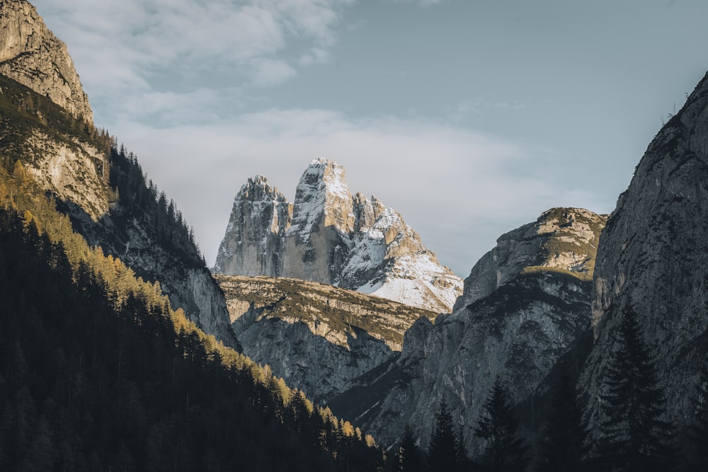 a mountain range covered in snow and surrounded by pine trees