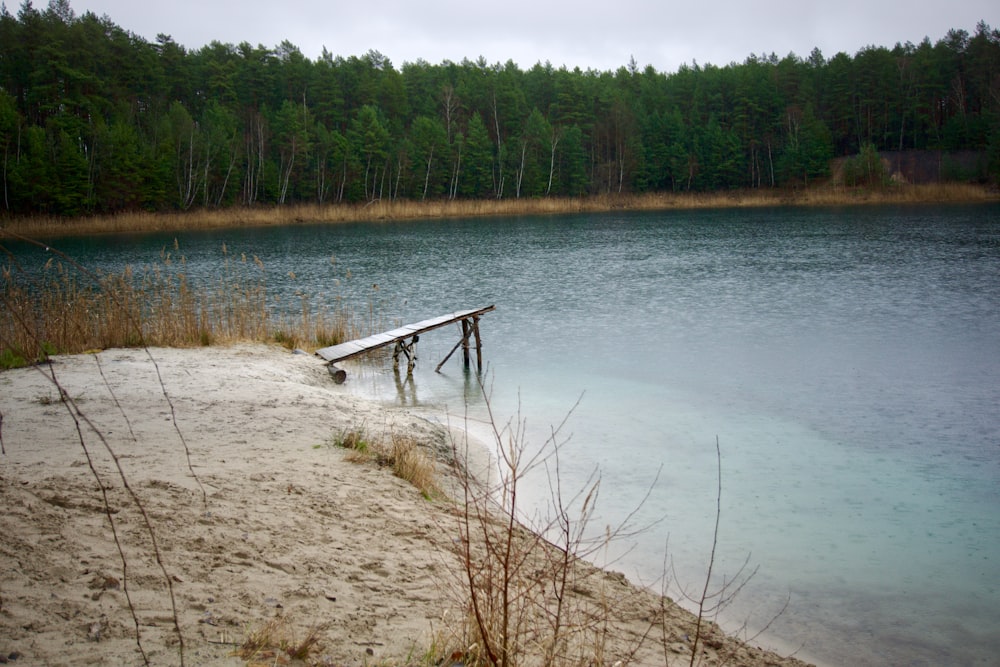 a bench sitting on the shore of a lake