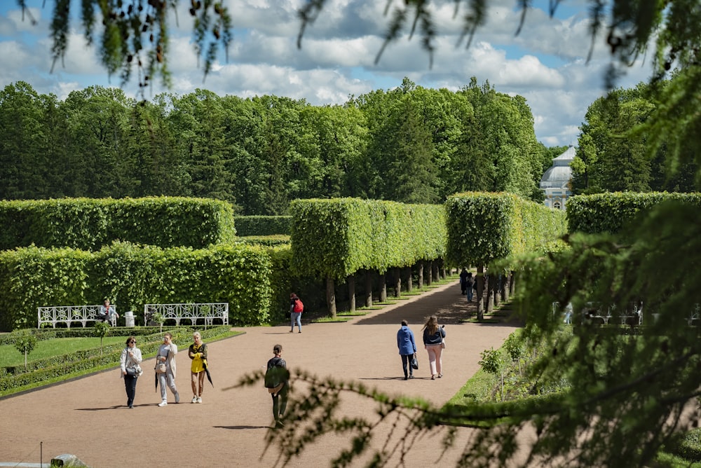 a group of people walking around a park