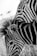 Two zebras are standing close to each other, showcasing their black-and-white striped patterns. One zebra has its head slightly lowered while the other has its head resting on or near the first zebra's back.