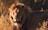 A majestic lion standing proudly in a sunlit savanna, symbolizing strength and confidence.
