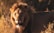 A majestic lion standing proudly in a sunlit savanna, symbolizing strength and confidence.