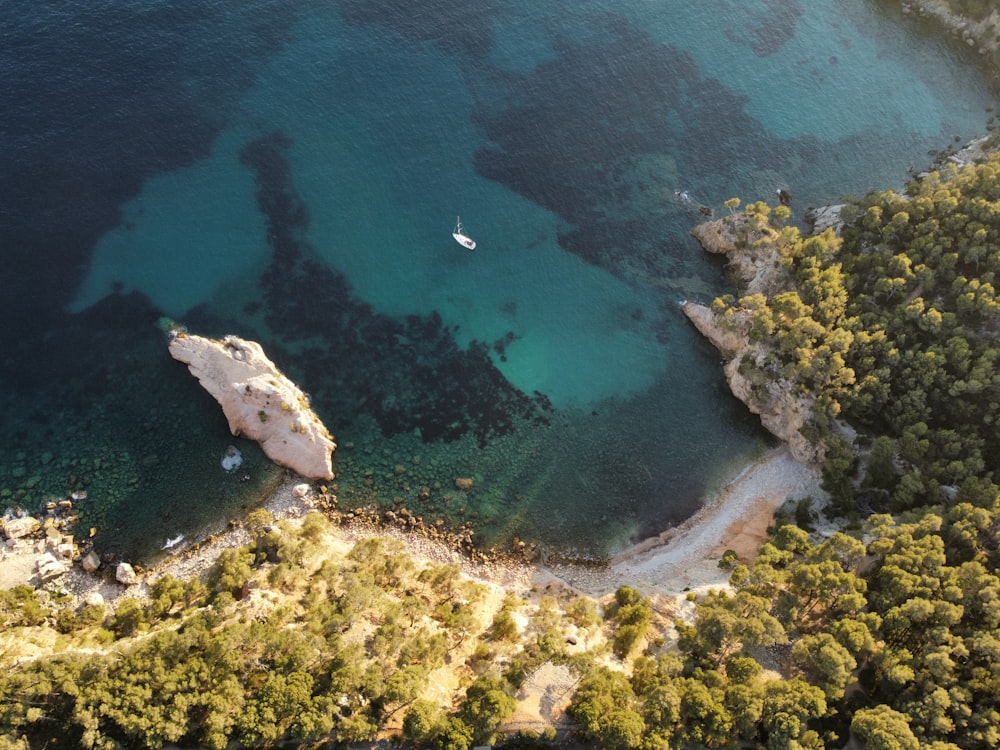 an aerial view of a body of water surrounded by trees