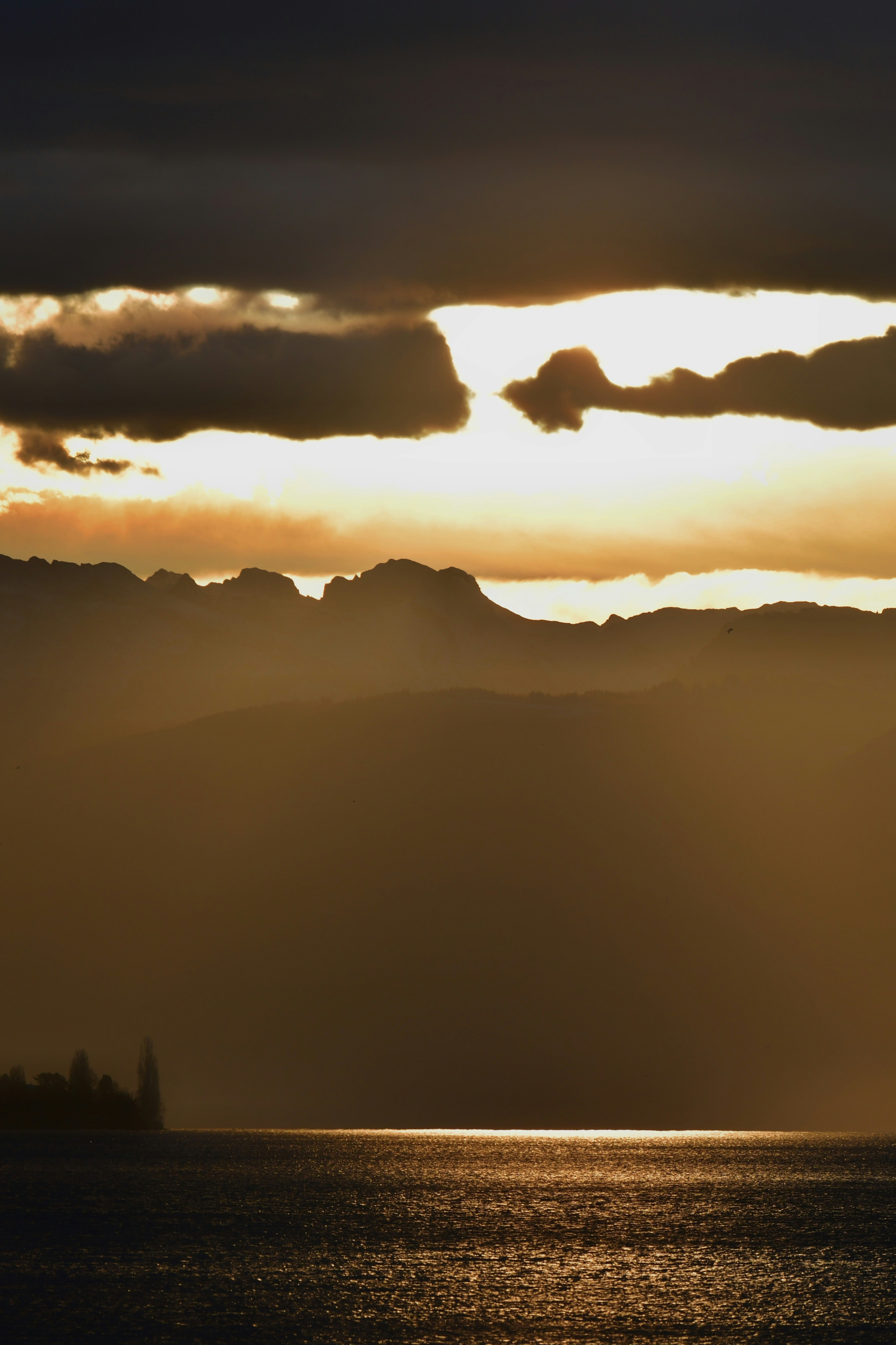 Photo by pedrino5_official