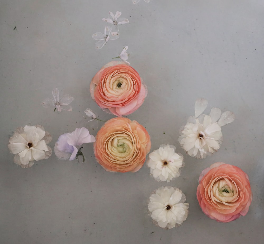 a group of flowers sitting on top of a table