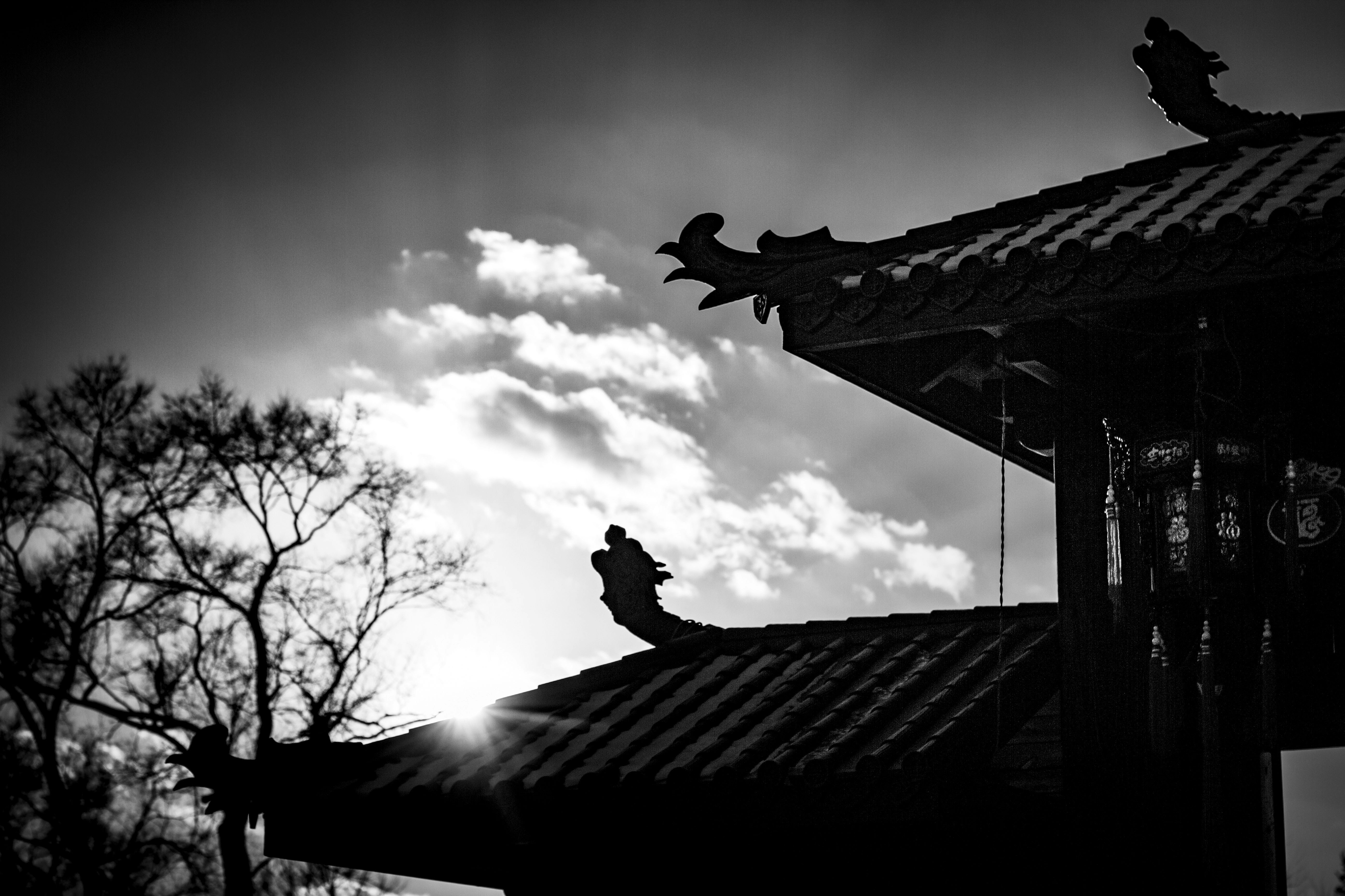 Photo by myers2021