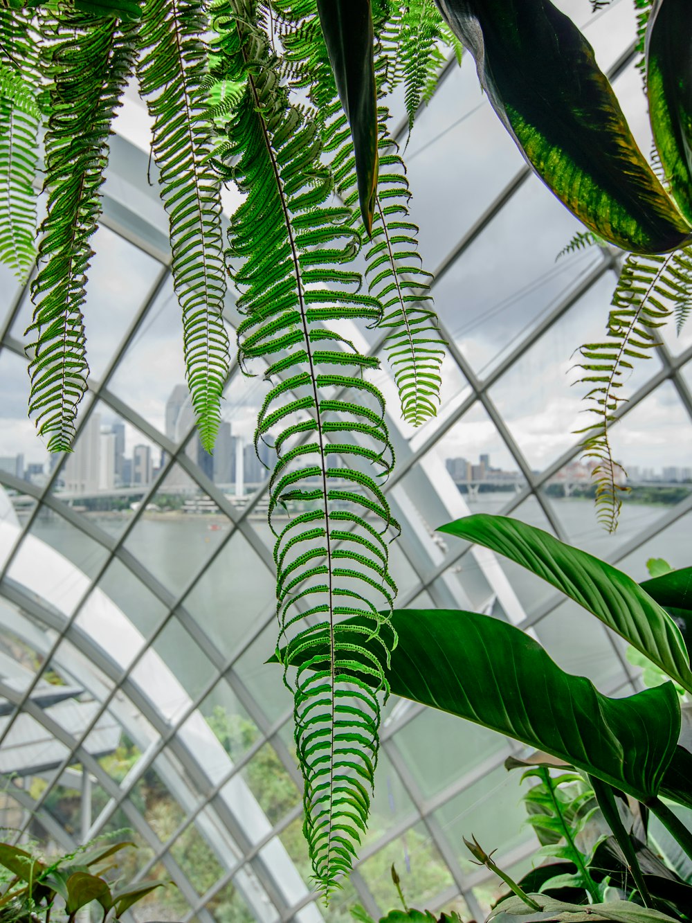 a view of a city from inside a building