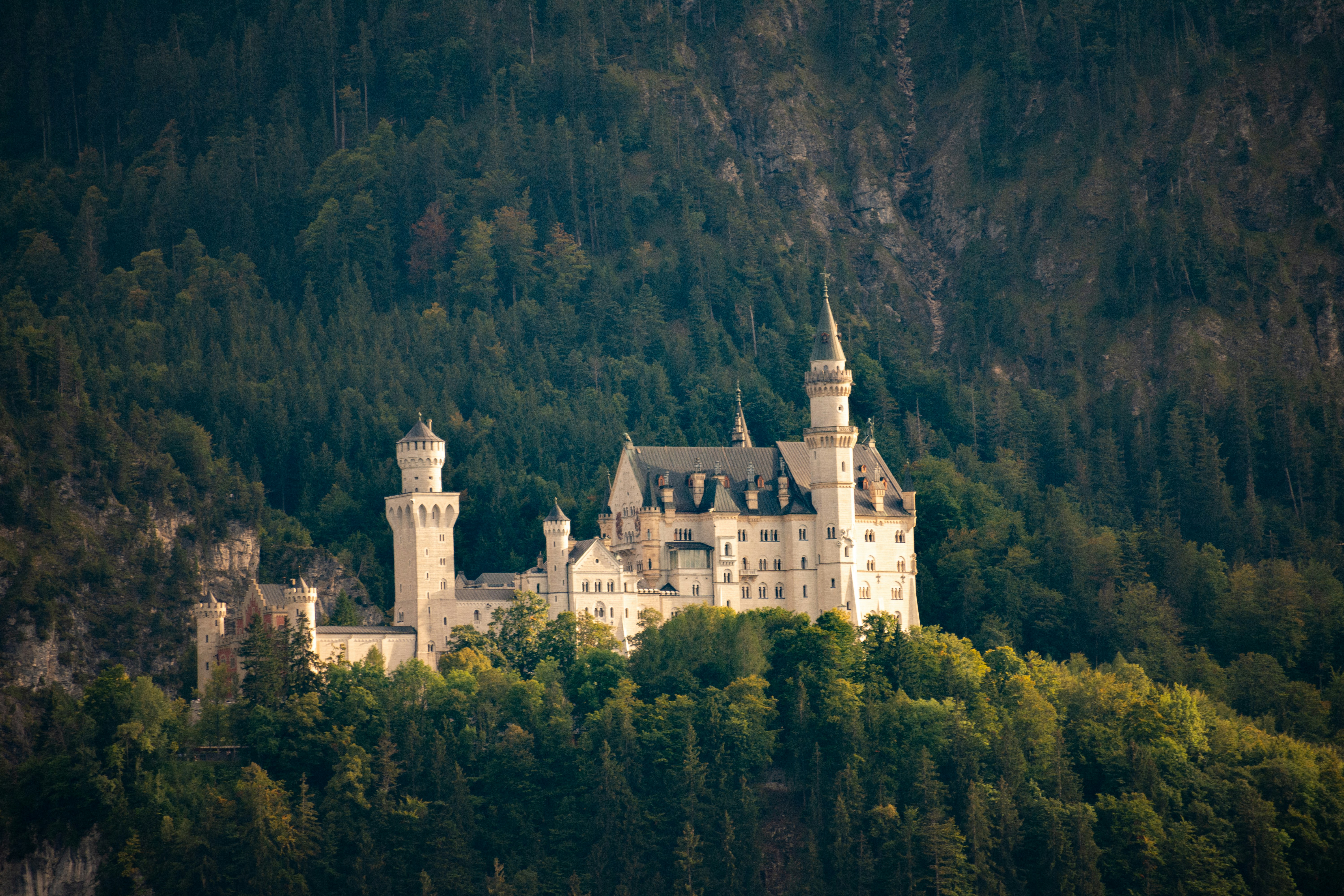 A castle on top of a hill surrounded by trees photo – Free
