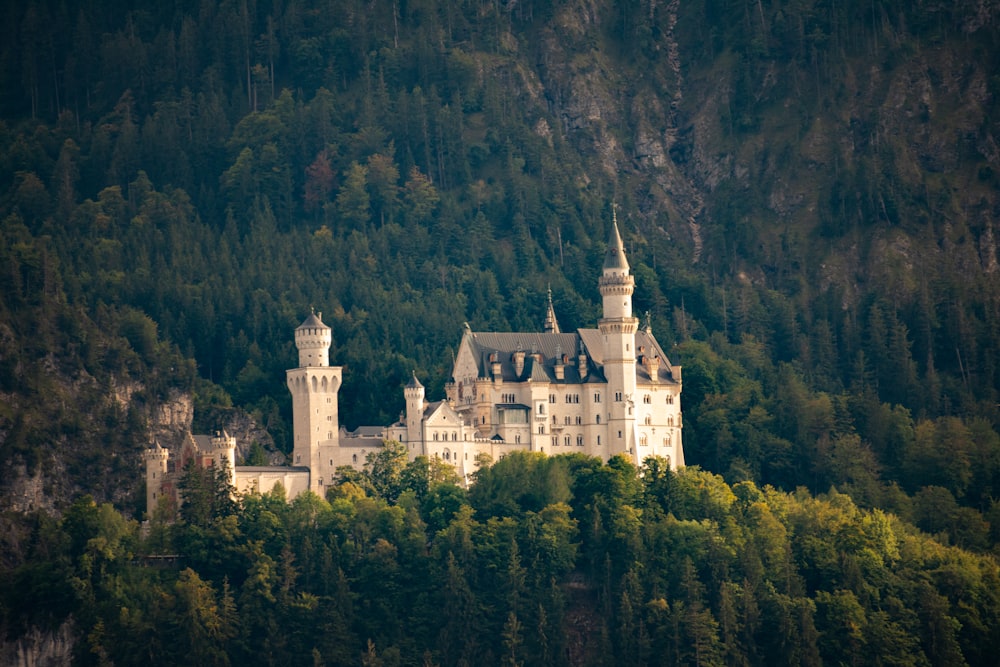 a castle on top of a hill surrounded by trees