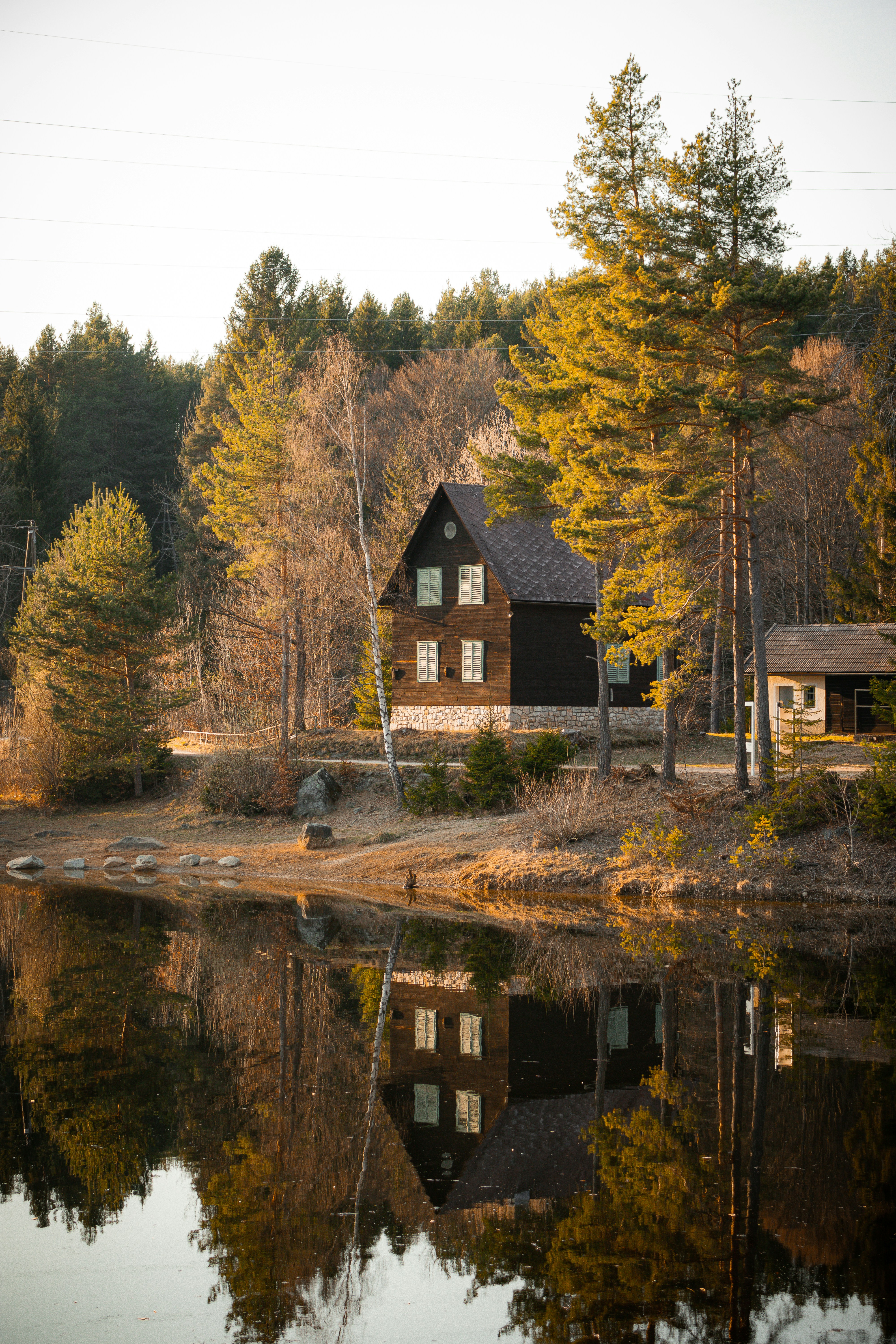 Photo by xenac_photos