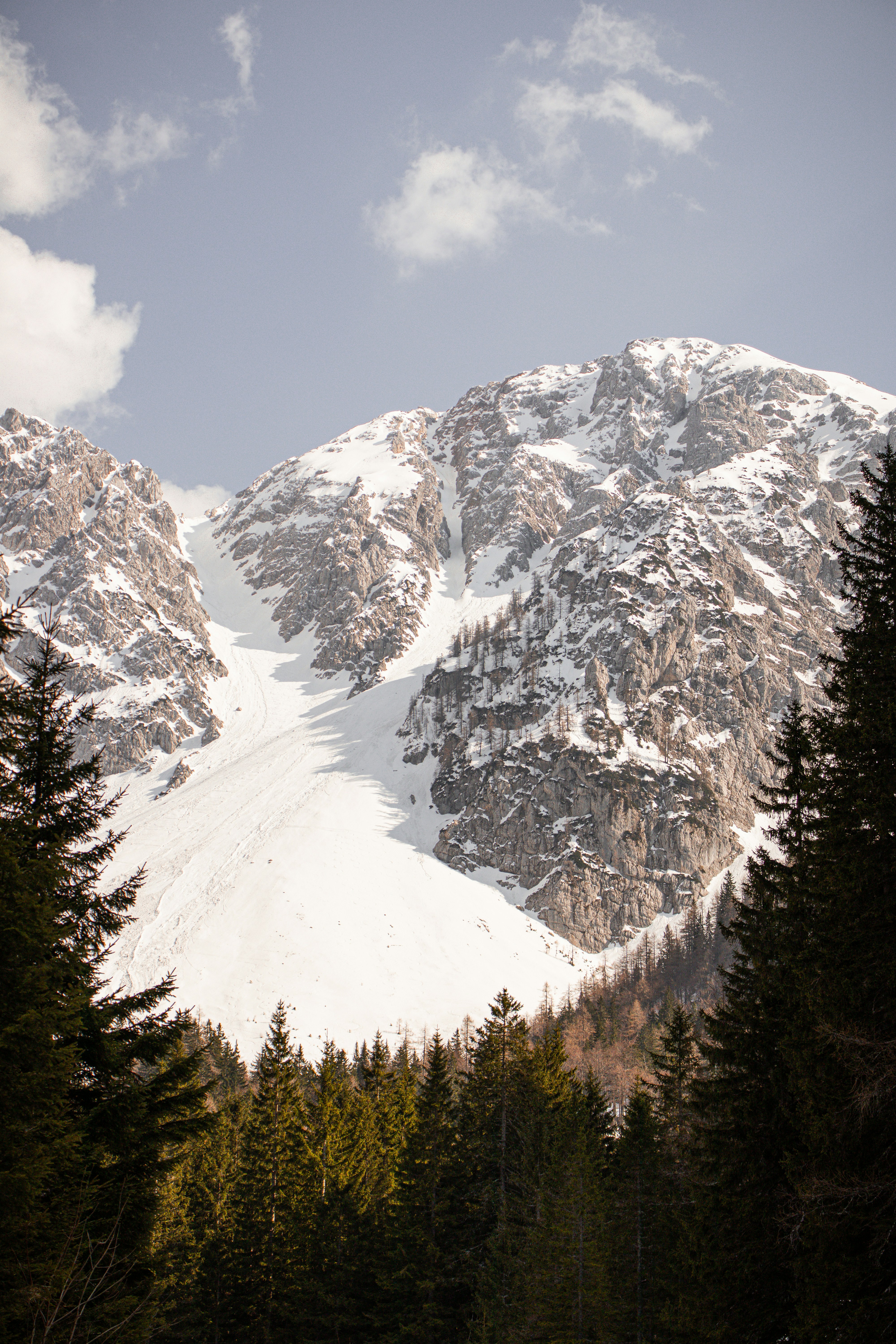 Photo by xenac_photos