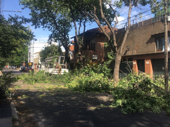 A residential street is covered with branches and leaves, possibly from recent tree maintenance or storm damage. A worker, standing on a service vehicle lift, is trimming trees near a two-story house with a brick facade. The street is lined with several trees and parked cars.