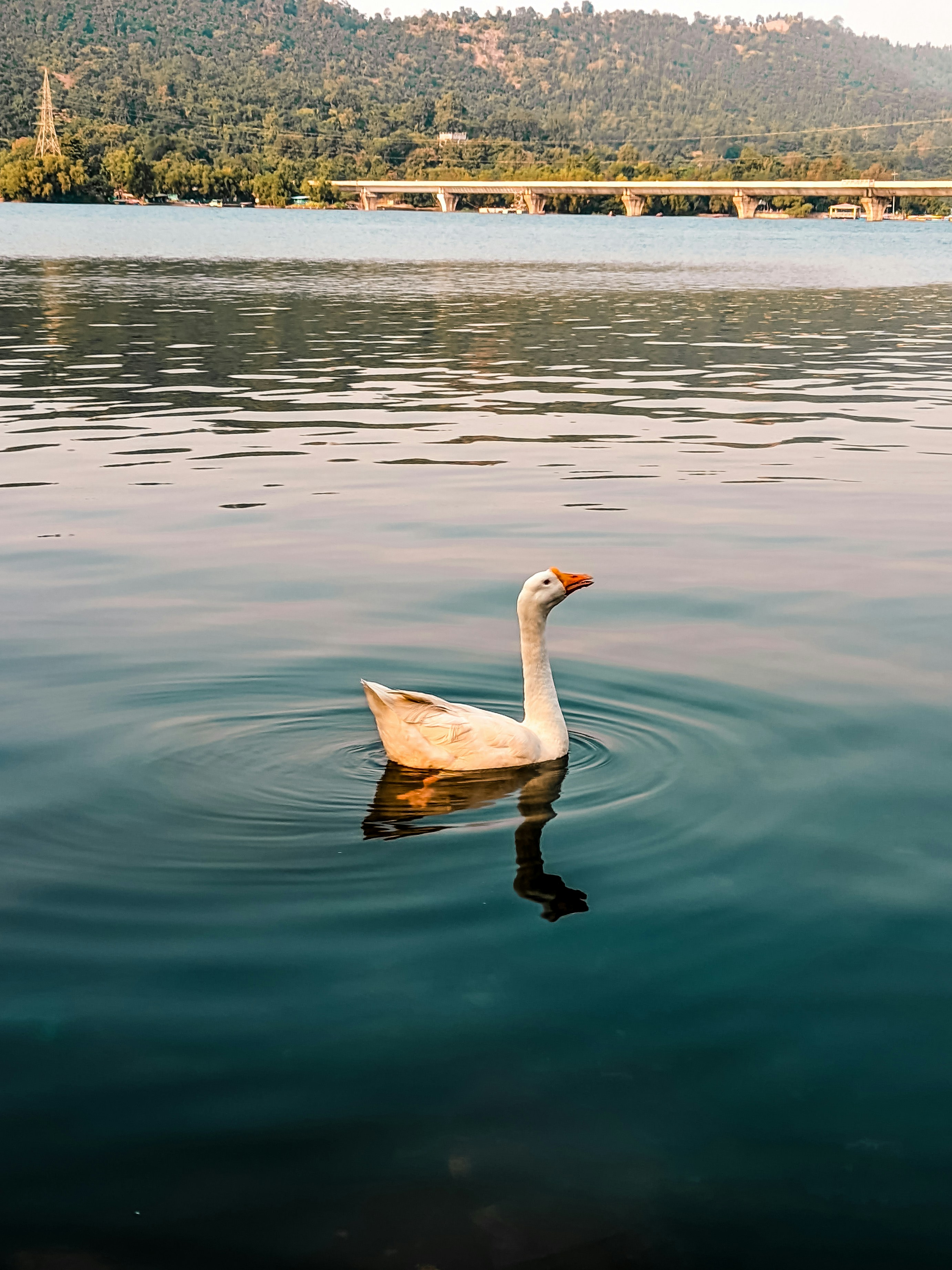 Photo by vinitpatel_2021