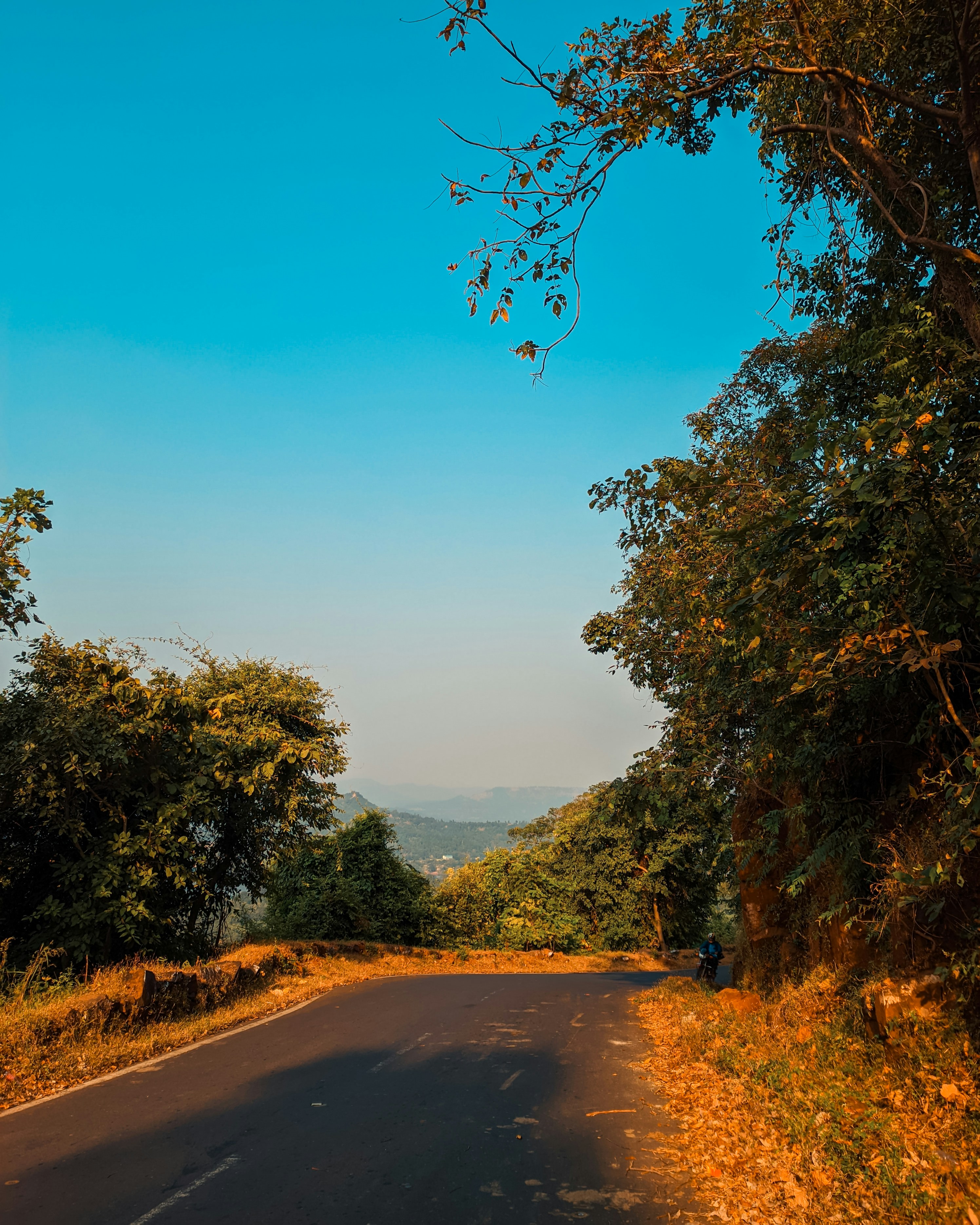 Photo by vinitpatel_2021