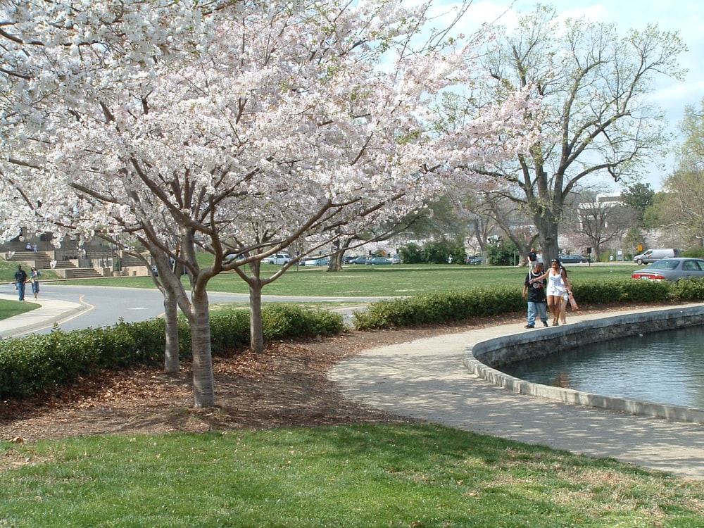 a couple of people walking down a sidewalk next to a pond