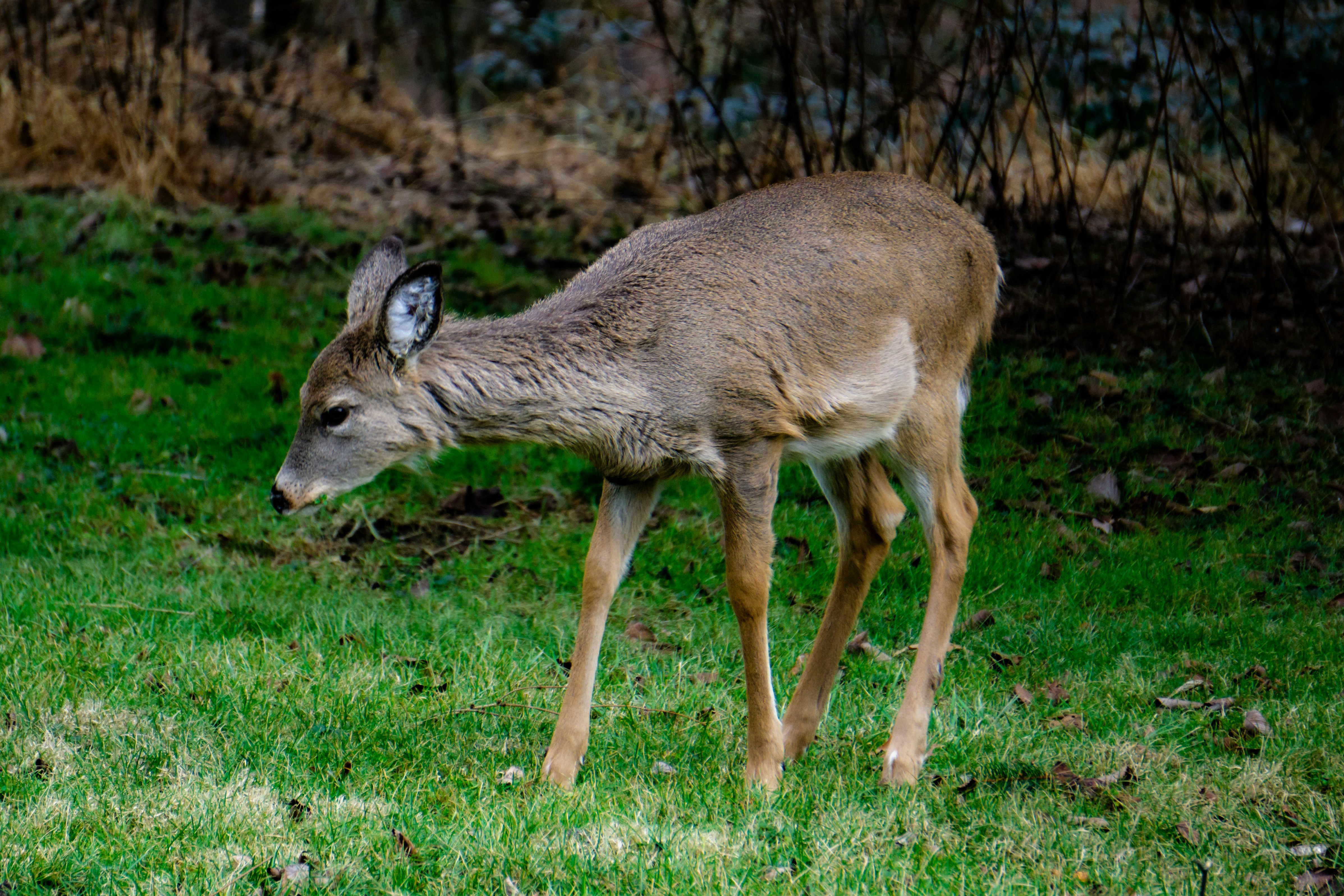 Photo by aravindreddytarugu