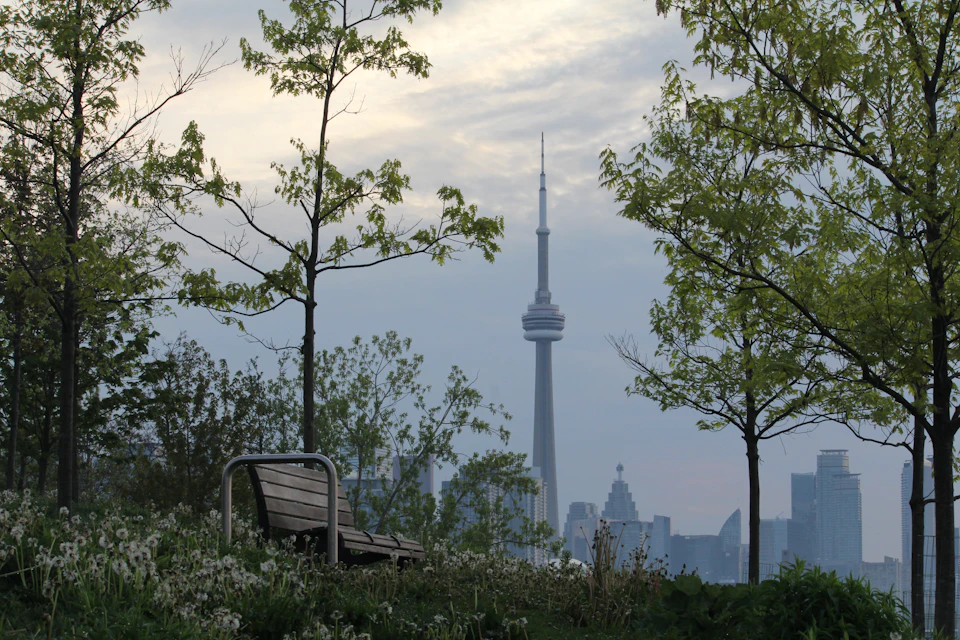 Serene park scene features wooden bench on grassy area facing city skyline with clouds