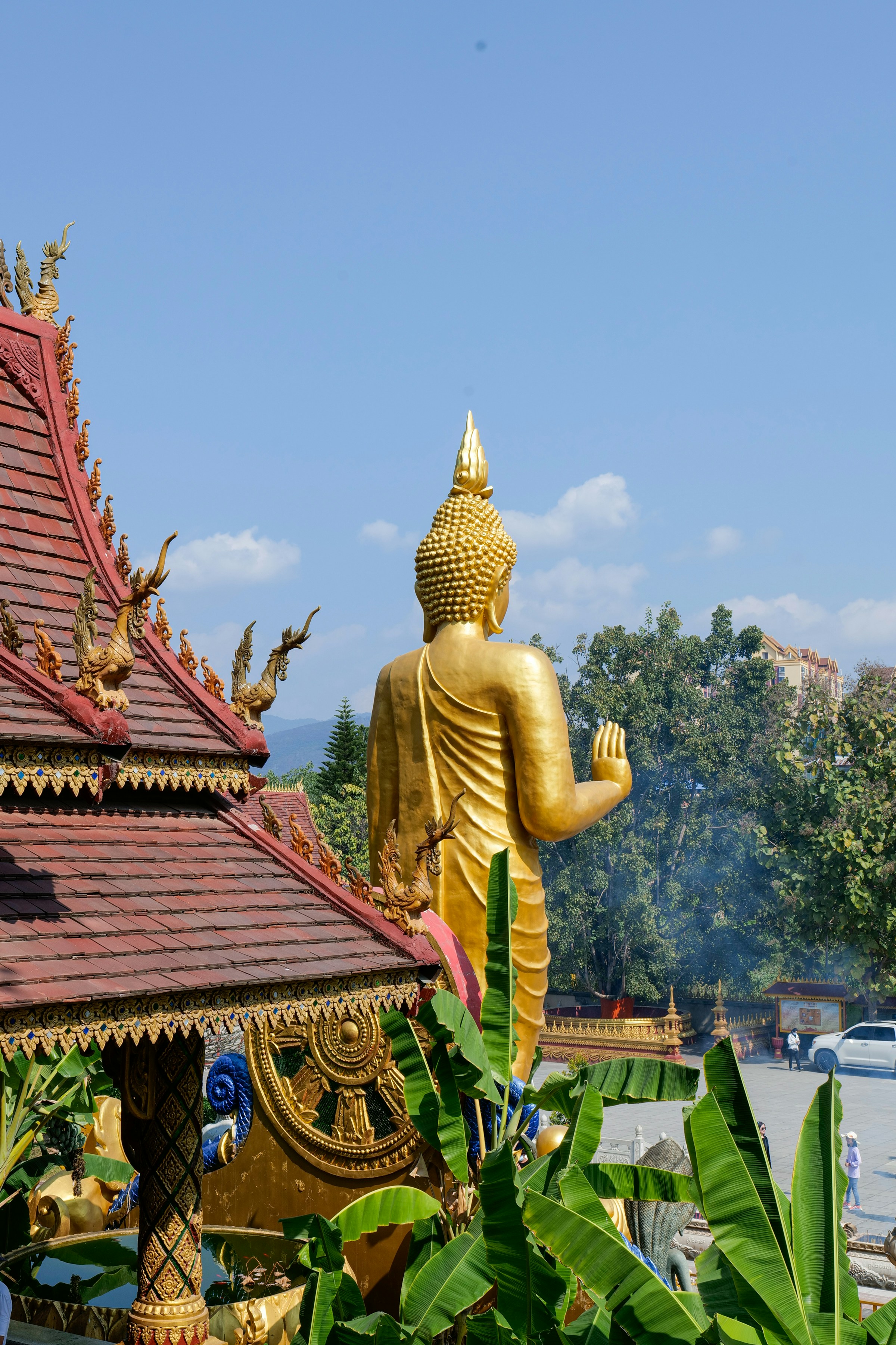 Photo by mw960367054