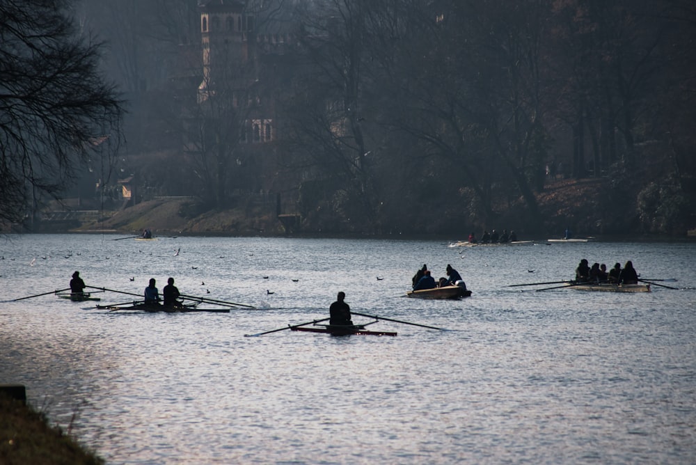 a group of people rowing on a lake