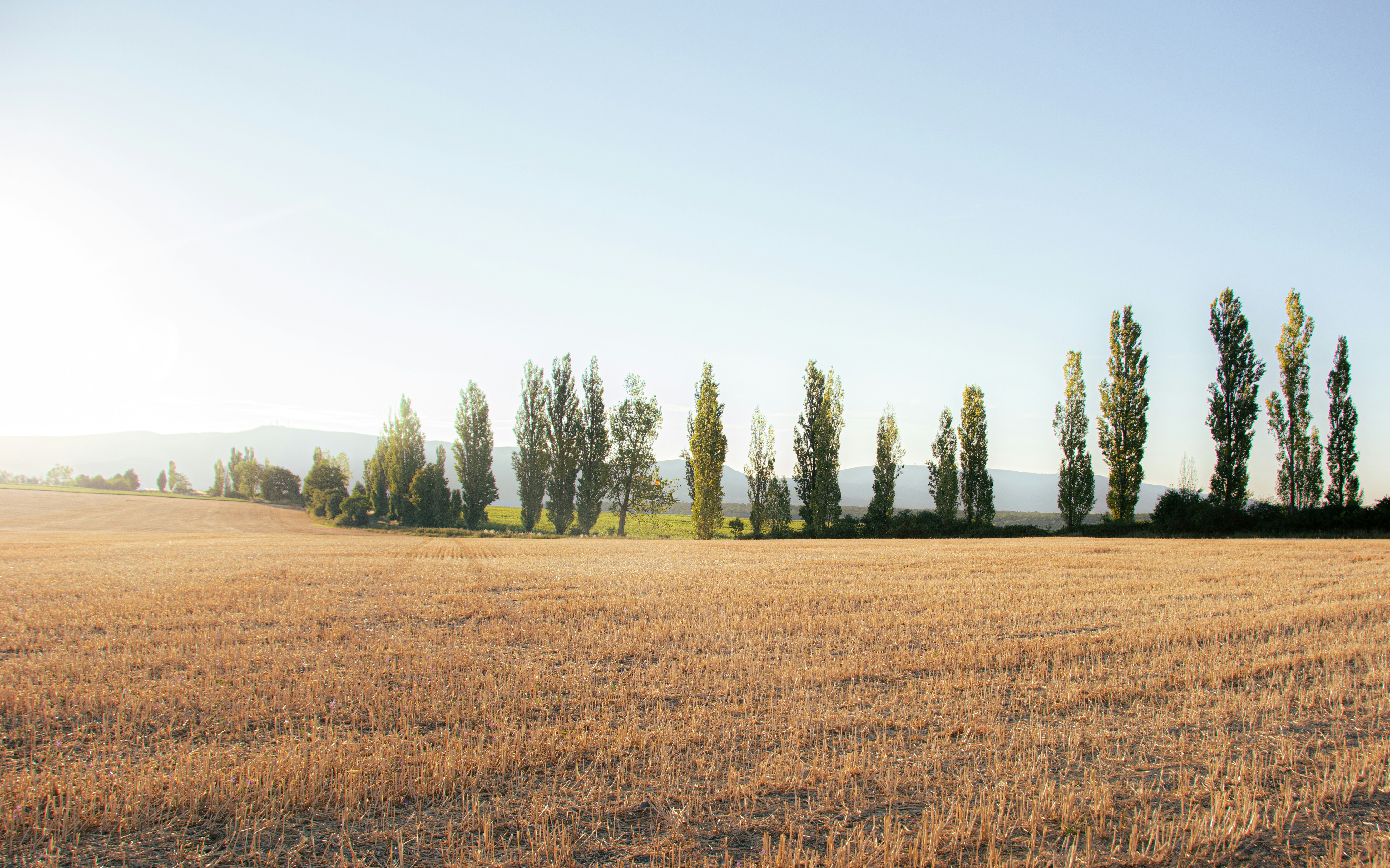 Photo by emotionphotography_by_gabi