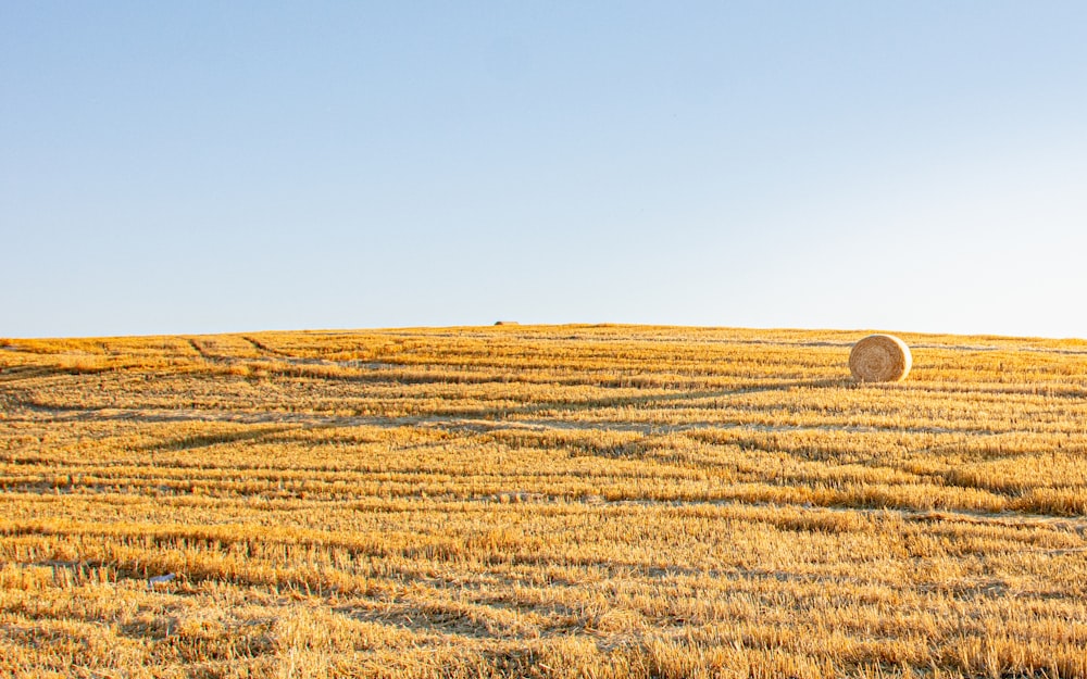 a hay field with a bale of hay in the foreground