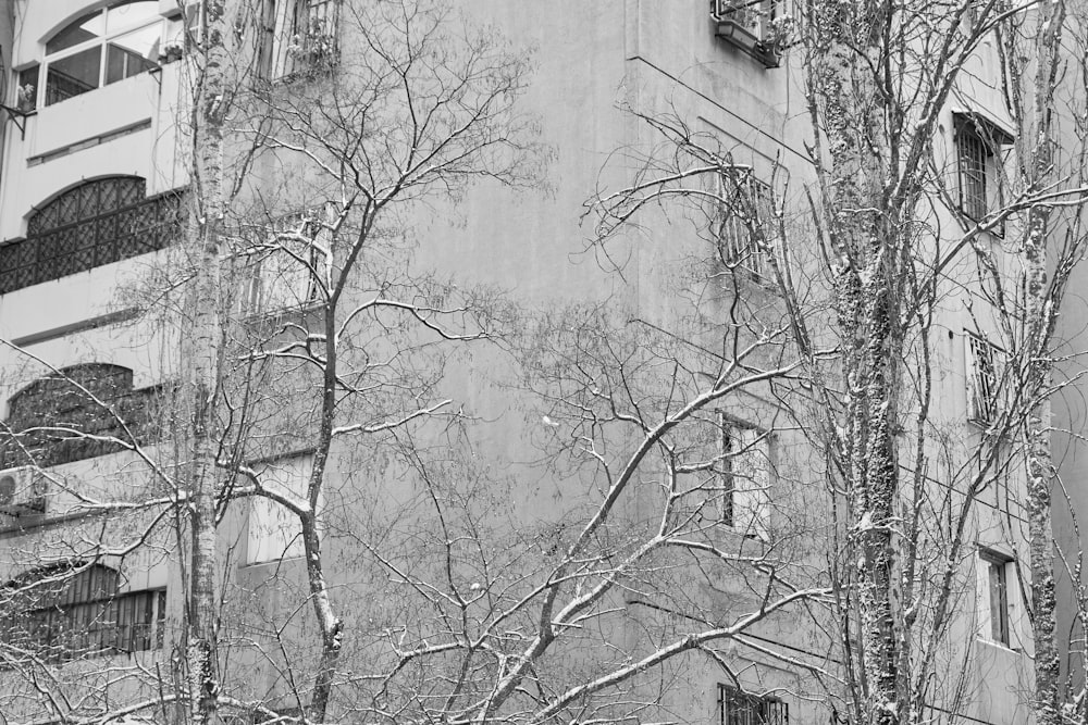 a black and white photo of a building with snow on the ground