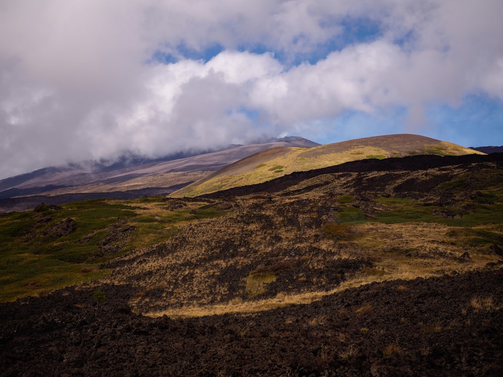 a grassy hill with a mountain in the background