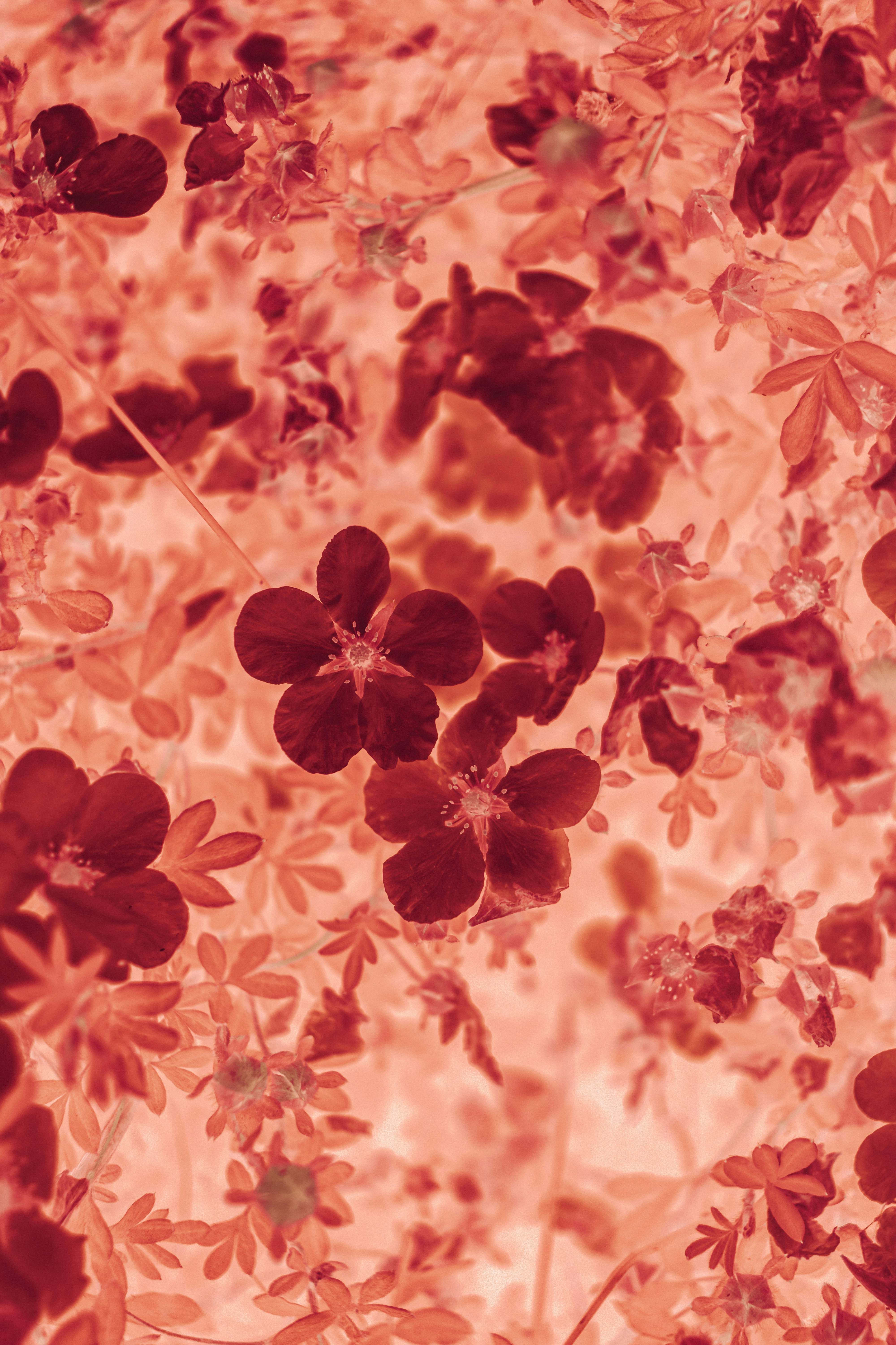 Descriptive alt text for image 1 - This image shows important visual content that enhances the user experience and provides context for the surrounding text.