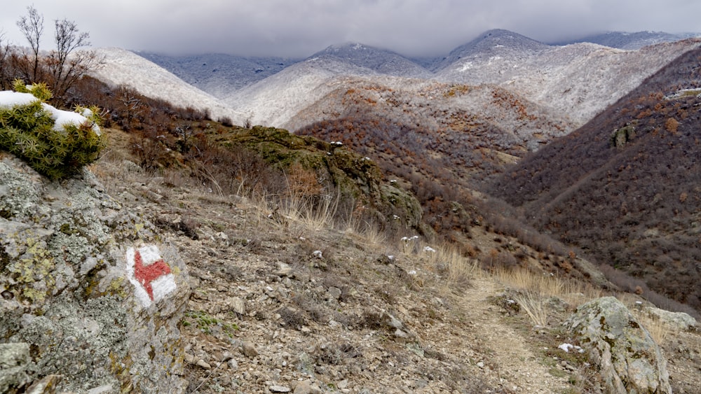 산 옆에 앉아있는 빨간색과 흰색 표지판
