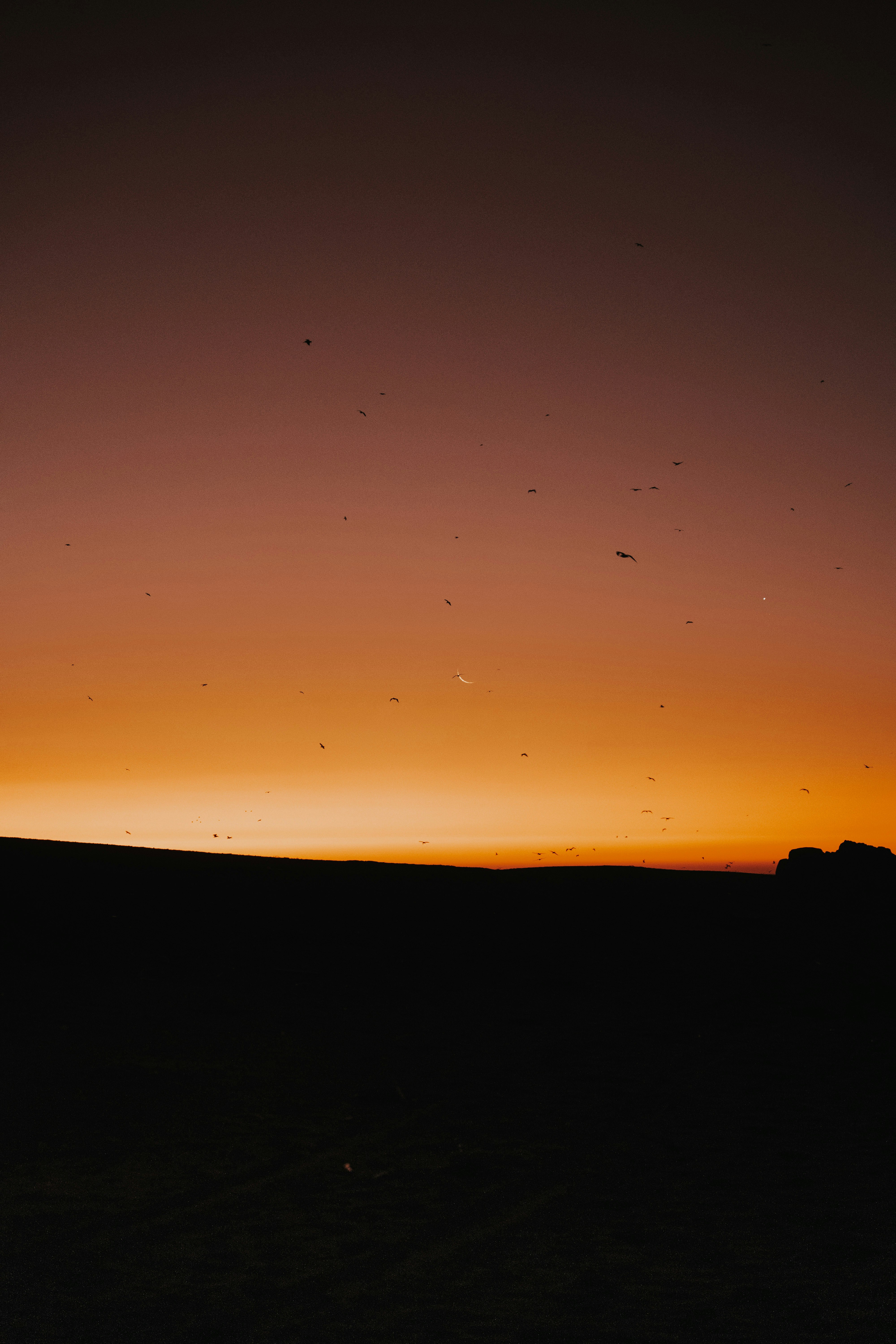 Photo by josefigueroa_mov