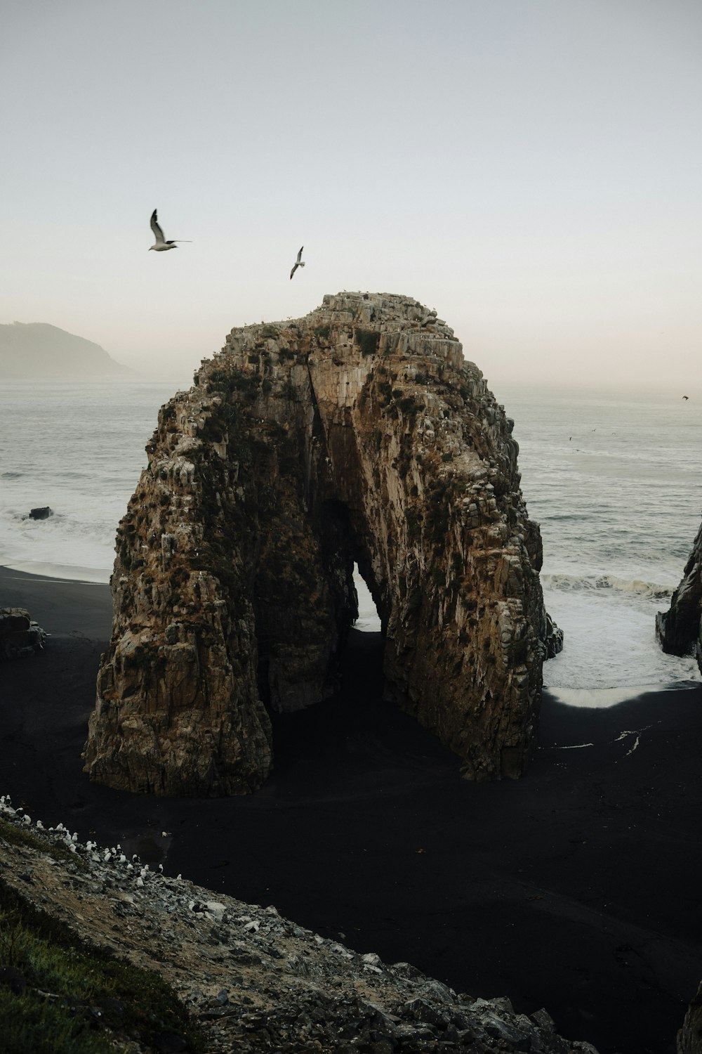 a bird flying over a rocky outcropping near the ocean