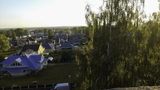 Cozy residential neighborhood with tree-lined streets