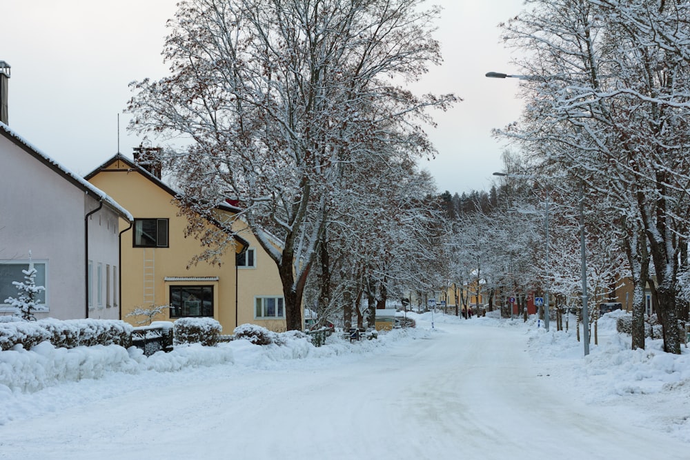 a snow covered street with houses and trees