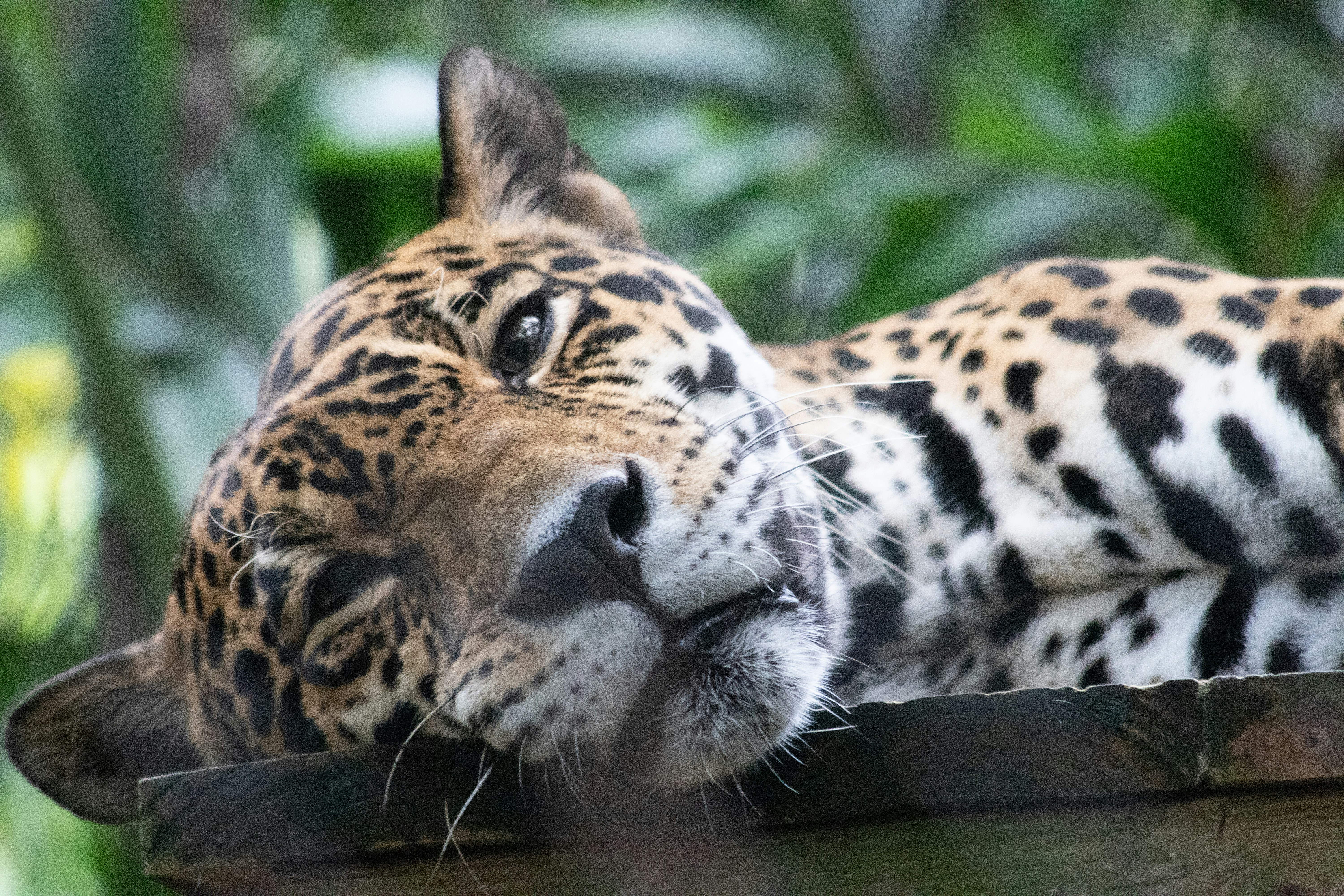 Photo by jacqueline_flock