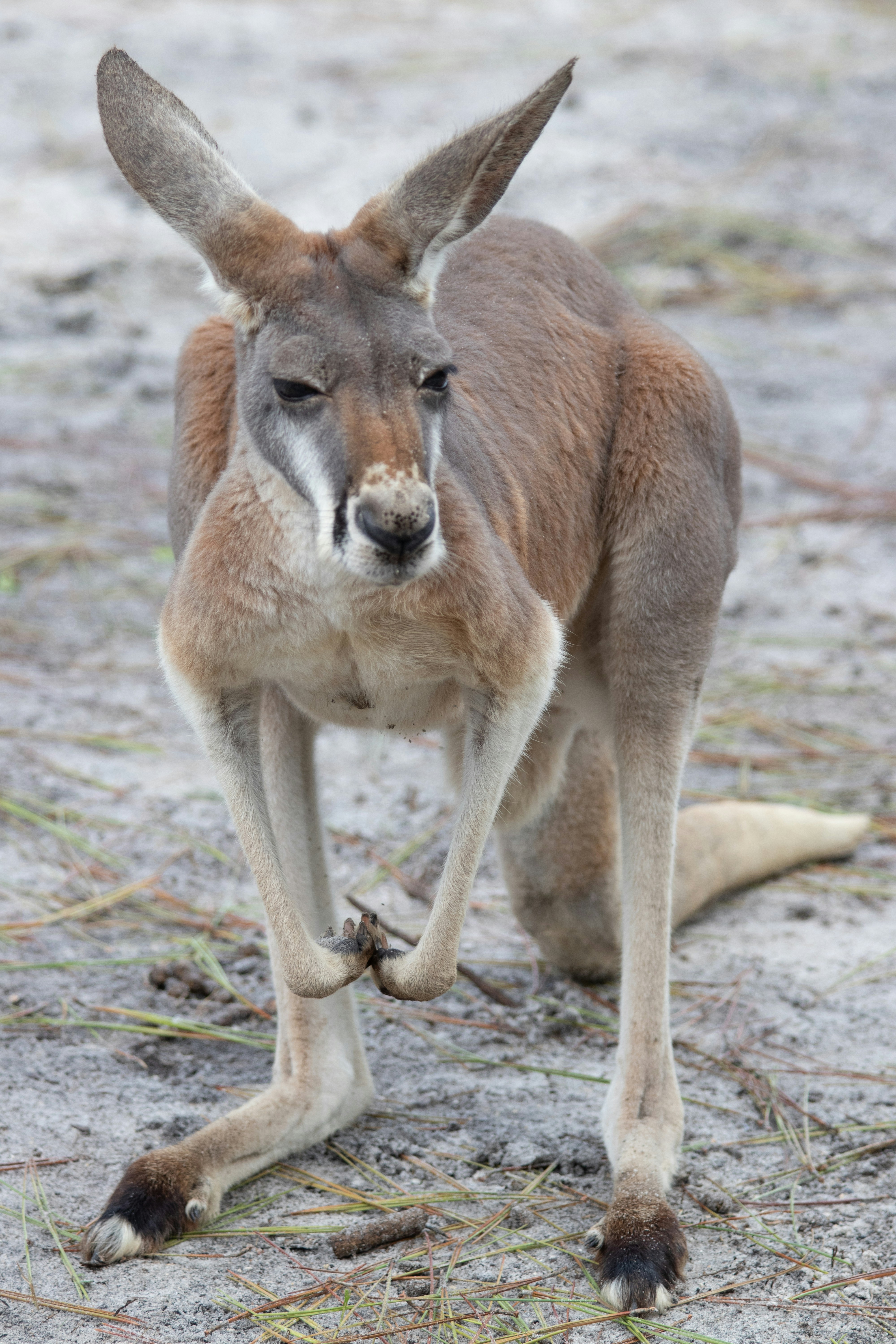 Photo by jacqueline_flock