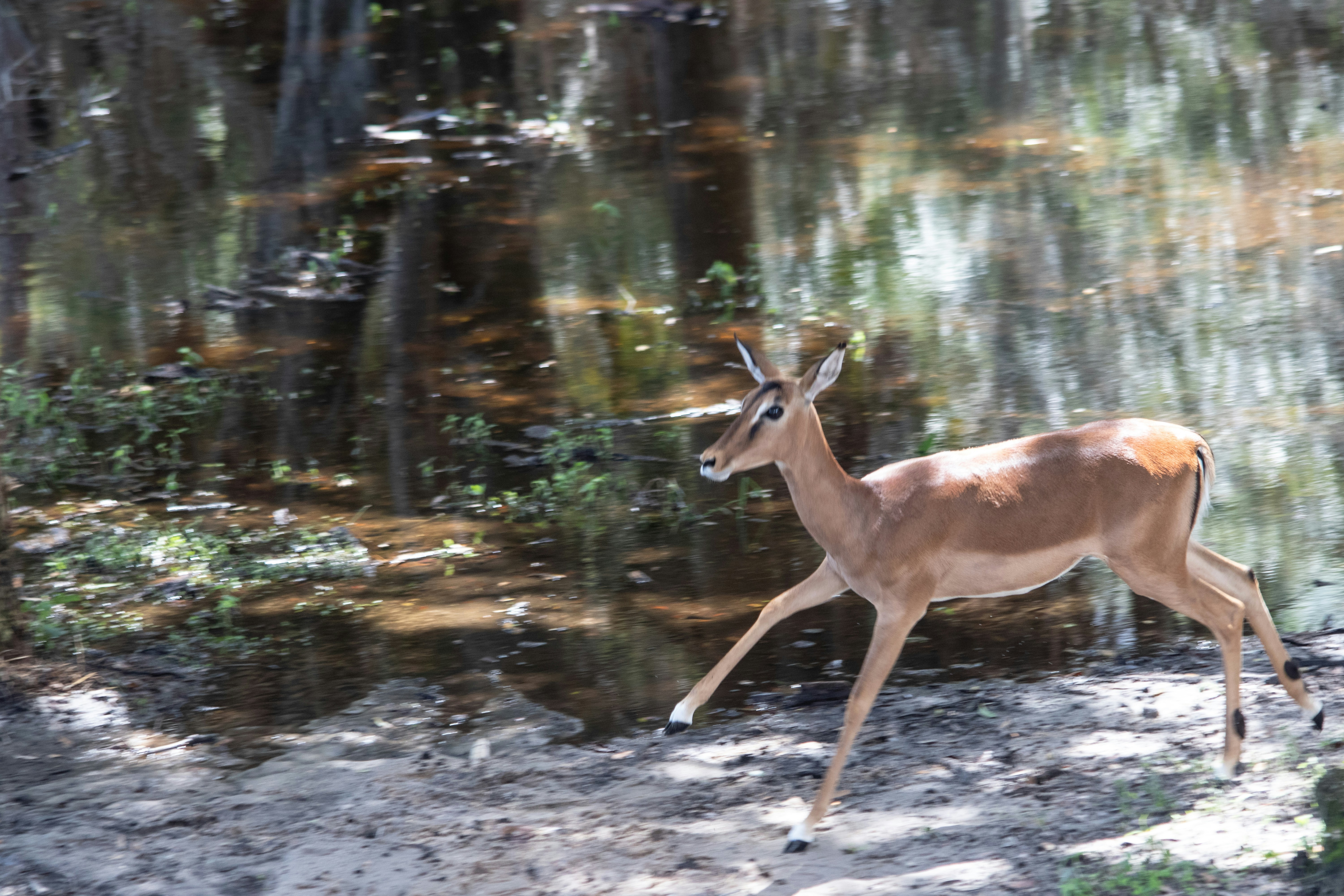 Photo by jacqueline_flock