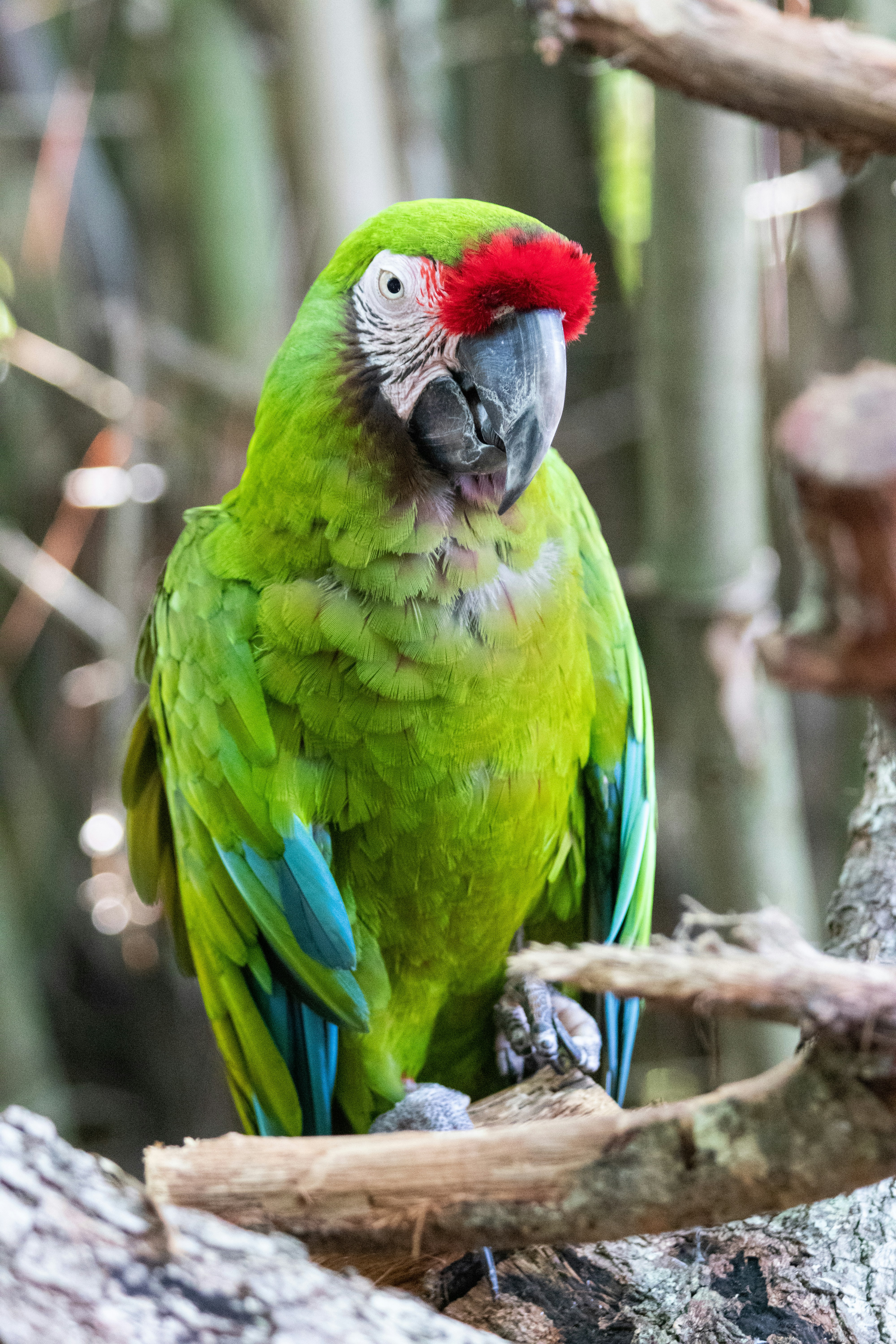 Photo by jacqueline_flock