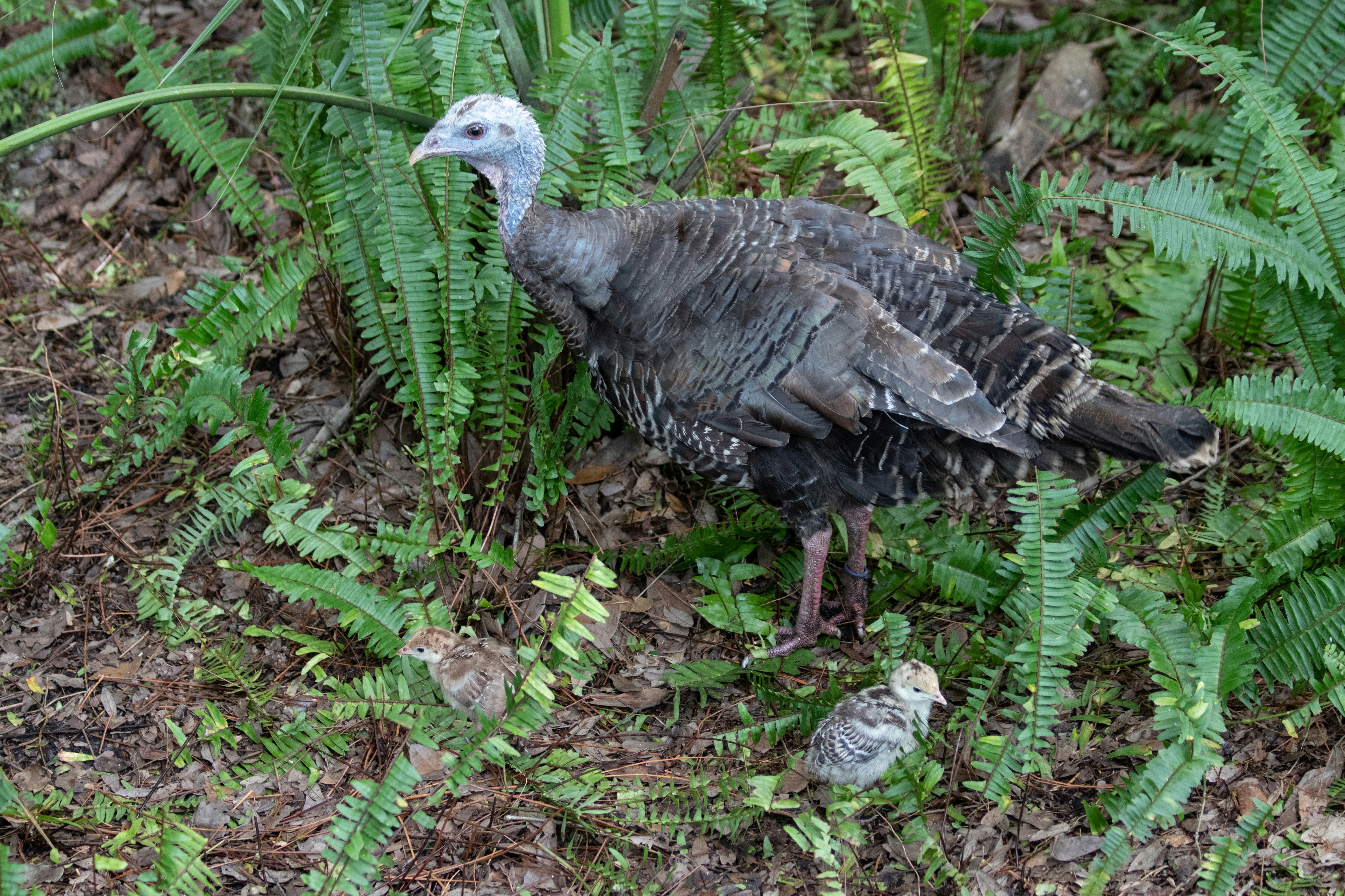 Photo by jacqueline_flock