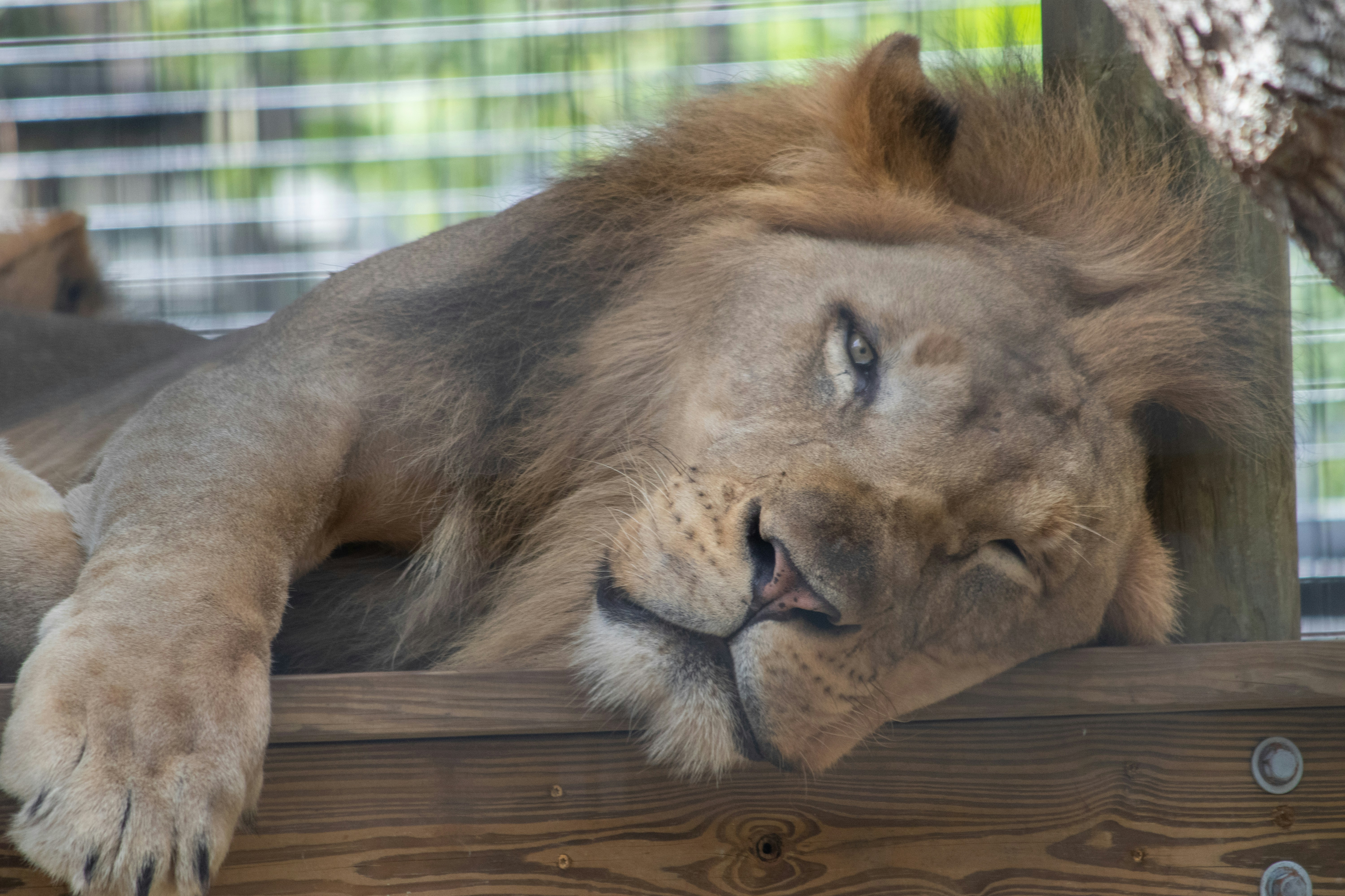 Photo by jacqueline_flock