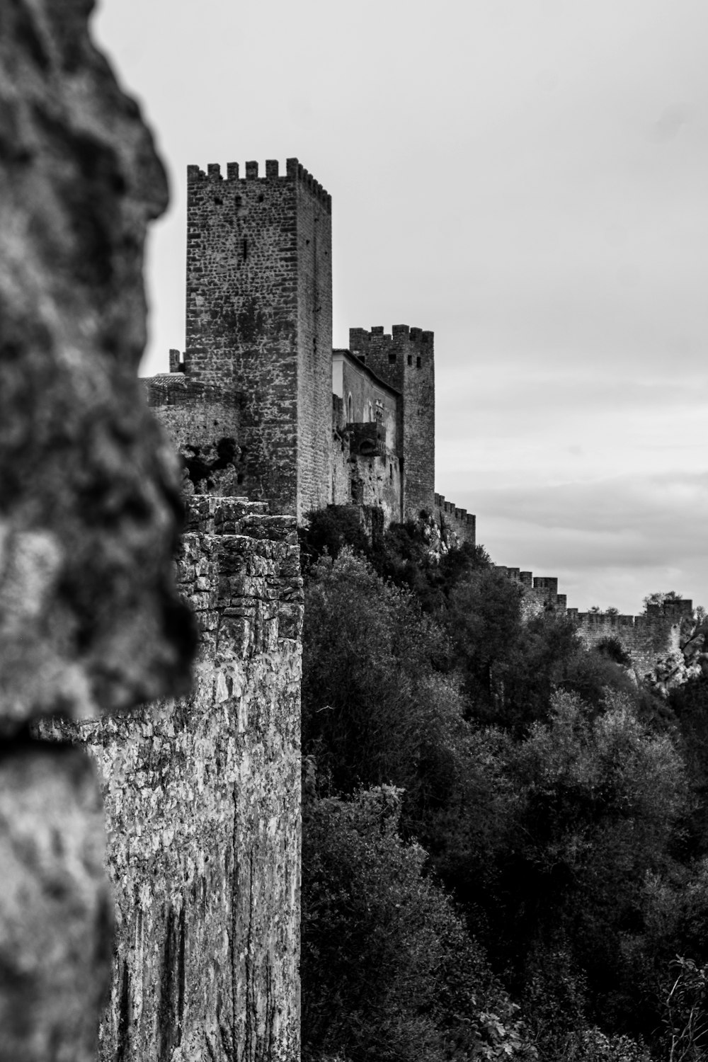 a black and white photo of a castle on a hill