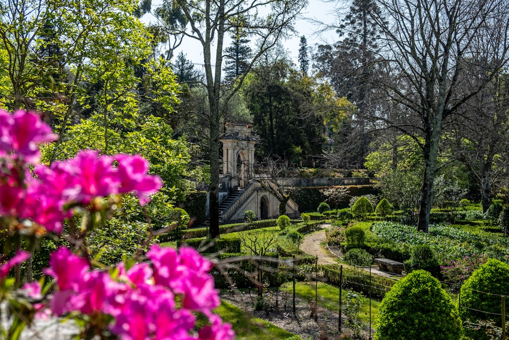 a view of a garden with a building in the background