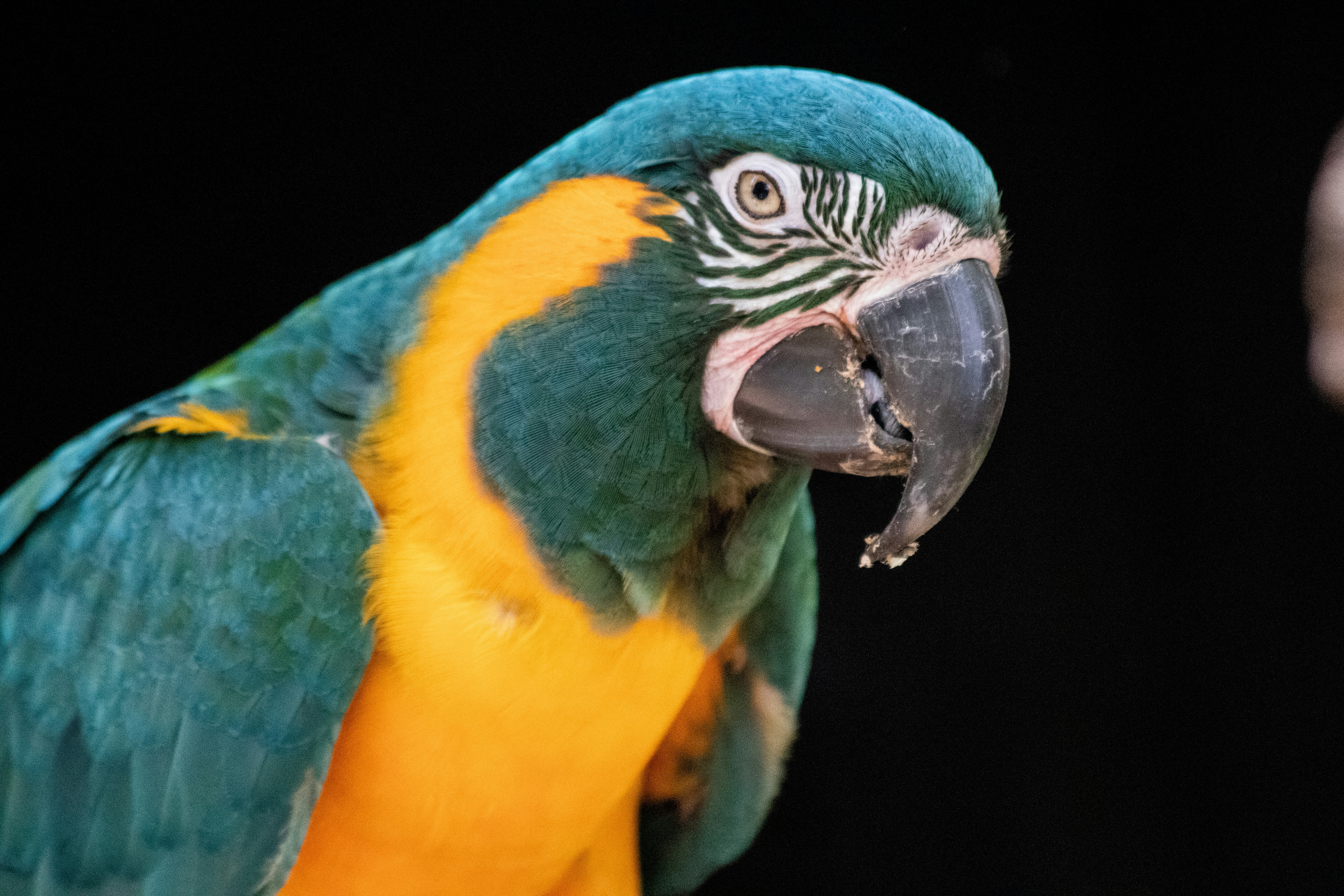 Photo by jacqueline_flock