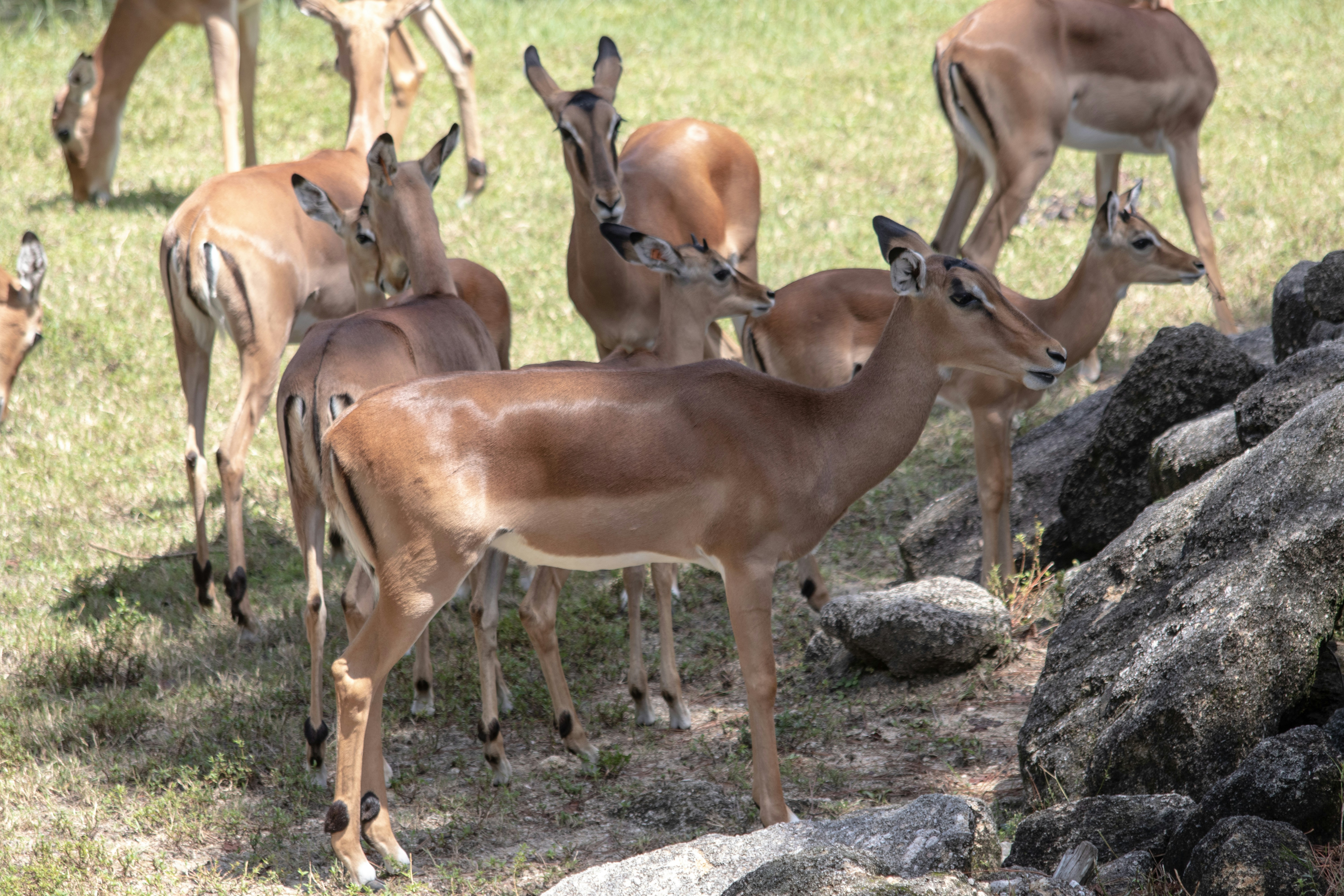 Photo by jacqueline_flock