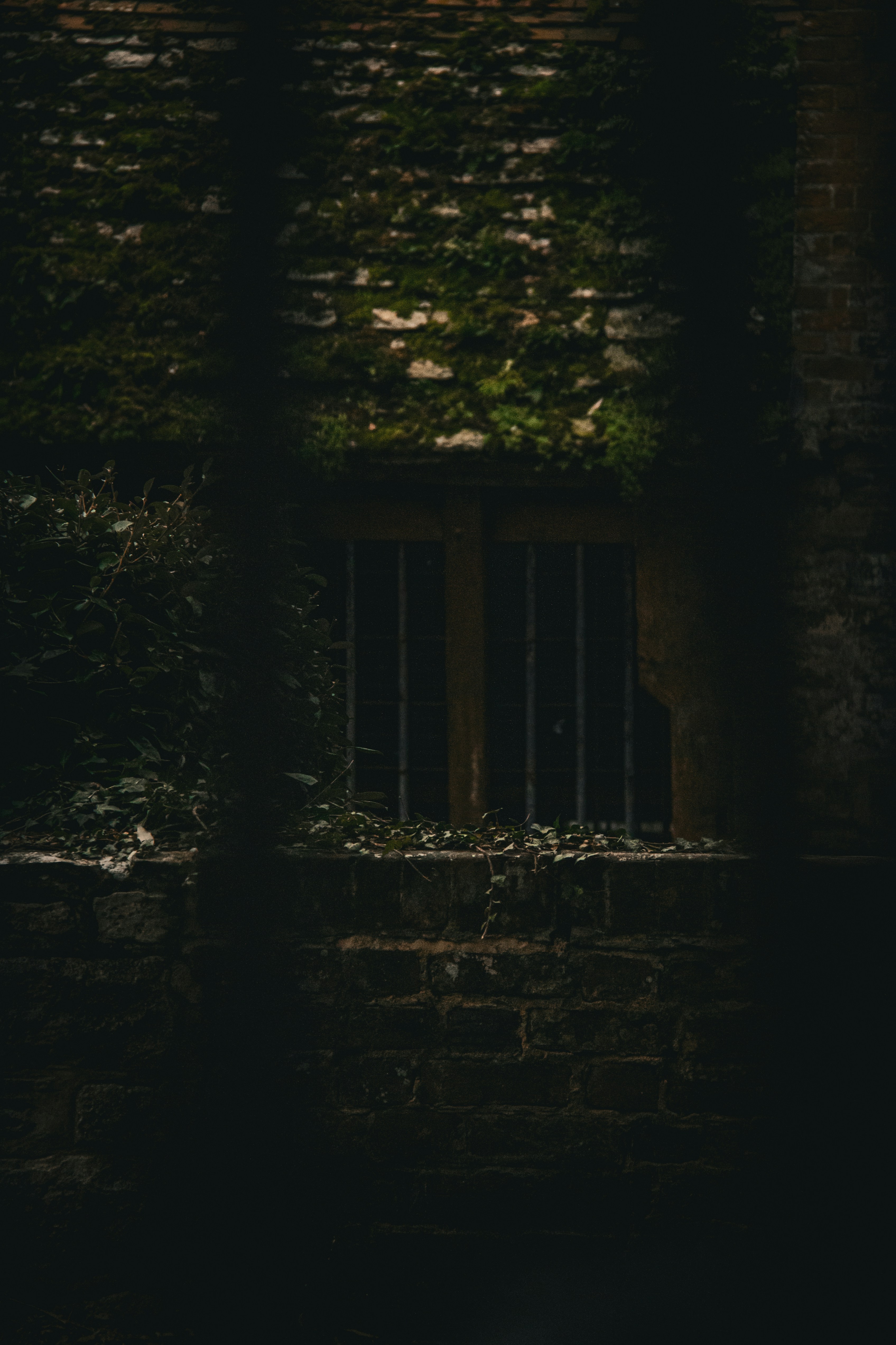 Photo by charlieh_viewfinder