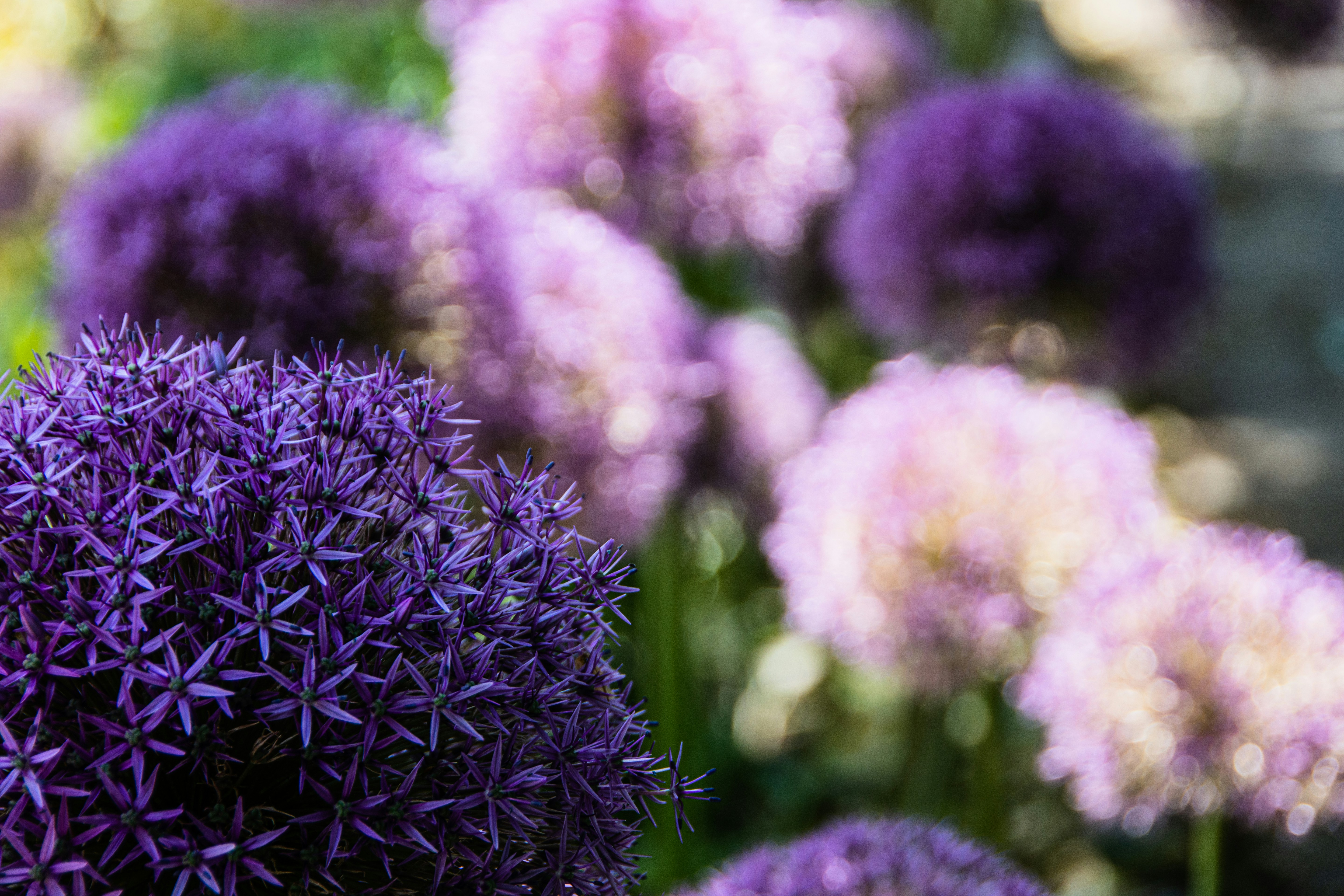 Photo by emotionphotography_by_gabi