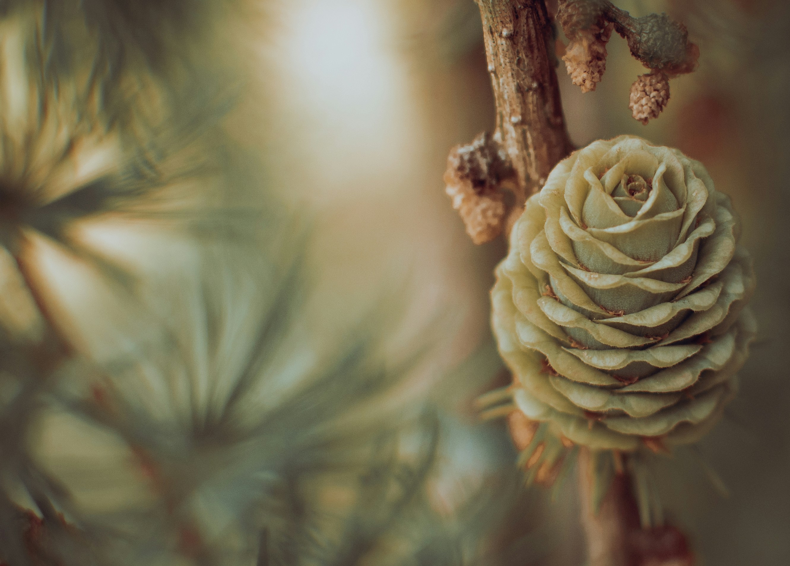 Photo by emotionphotography_by_gabi