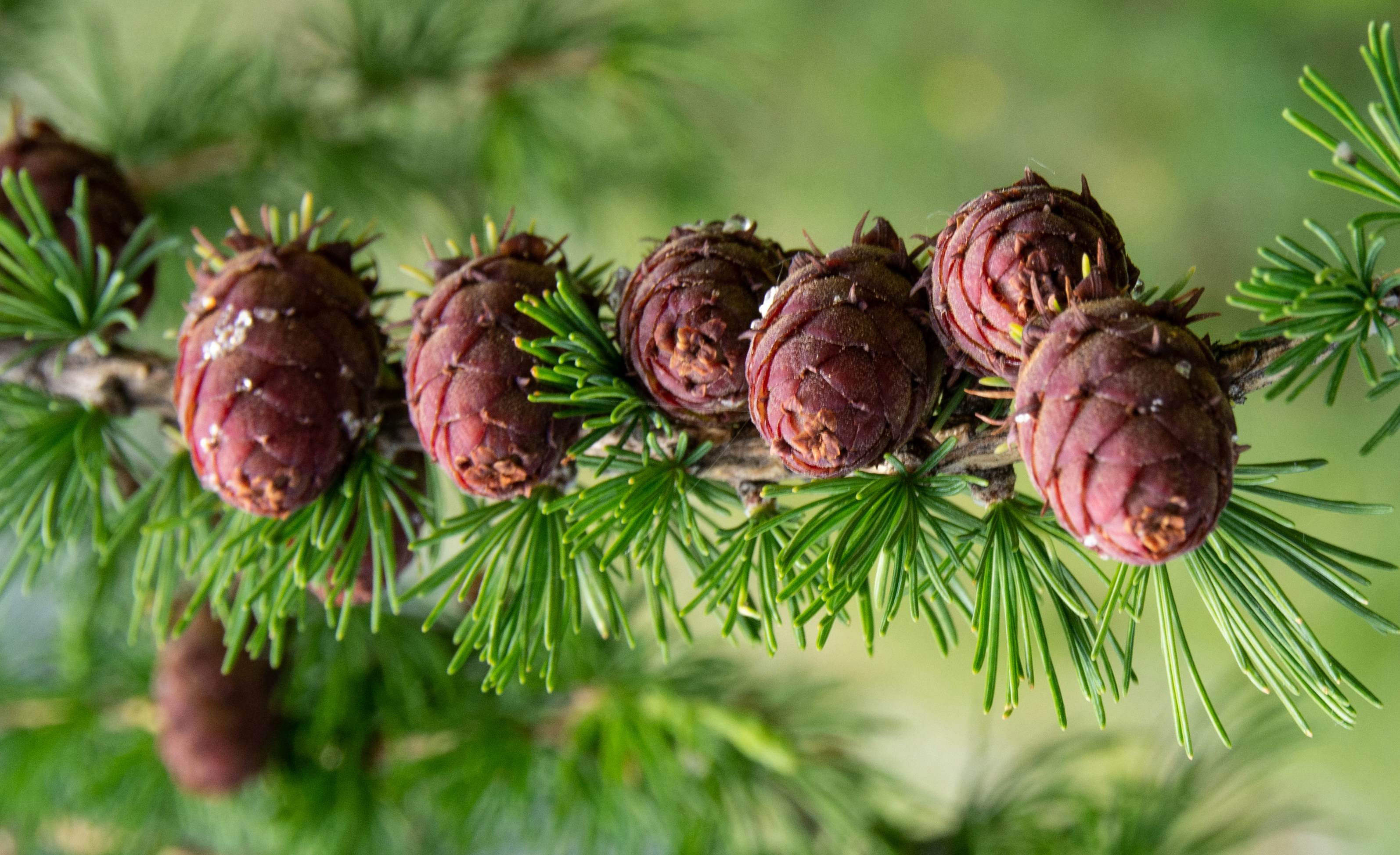 Photo by emotionphotography_by_gabi